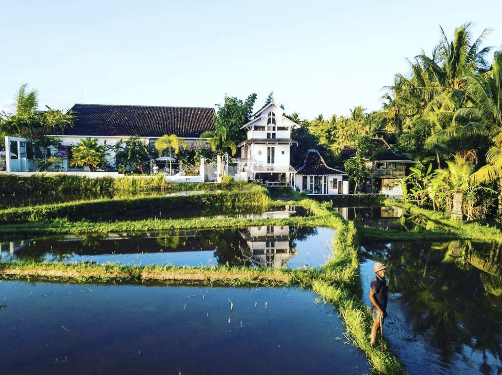 en man står i ett risfält och tittar ut över vita hus och palmer på en tropisk plats