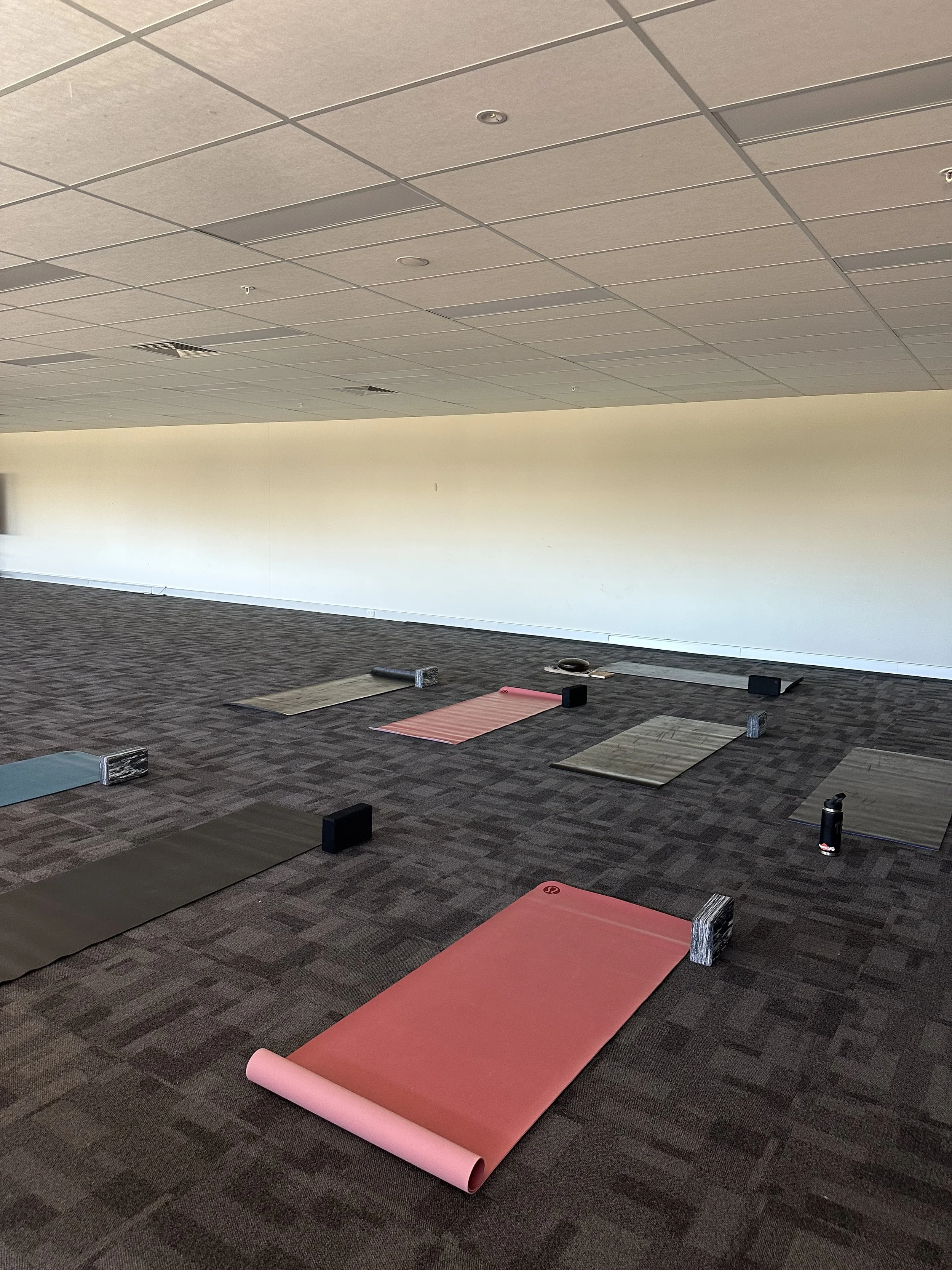 Multiple yoga mats and blocks arranged on a carpeted floor in an empty room, ready for a class.