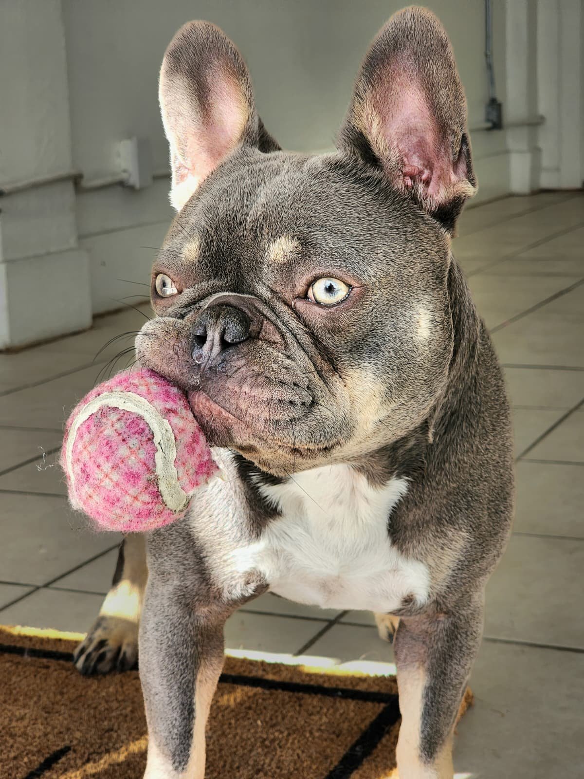 WhatsApp Image 2026-01-21 at 02.50.12 (3).jpeg