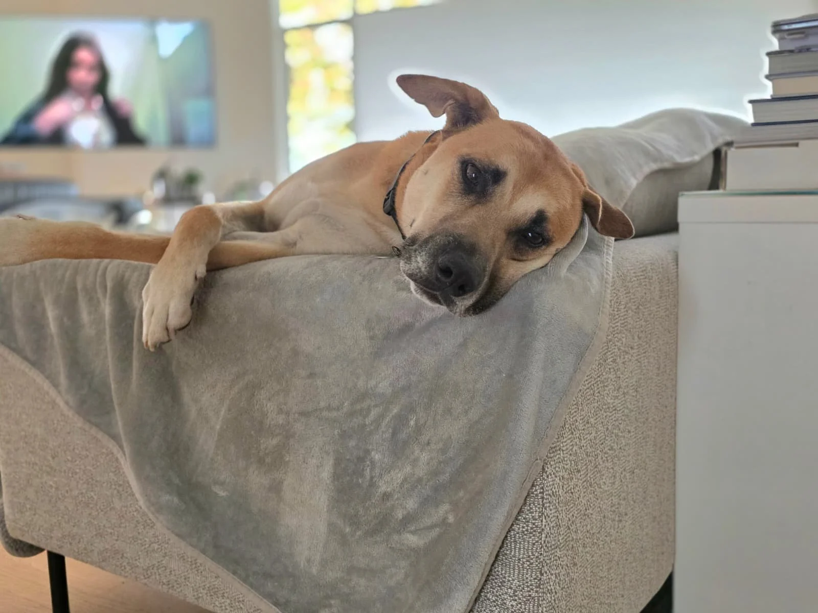 WhatsApp Image 2026-01-20 at 12.22.00 (8).jpeg