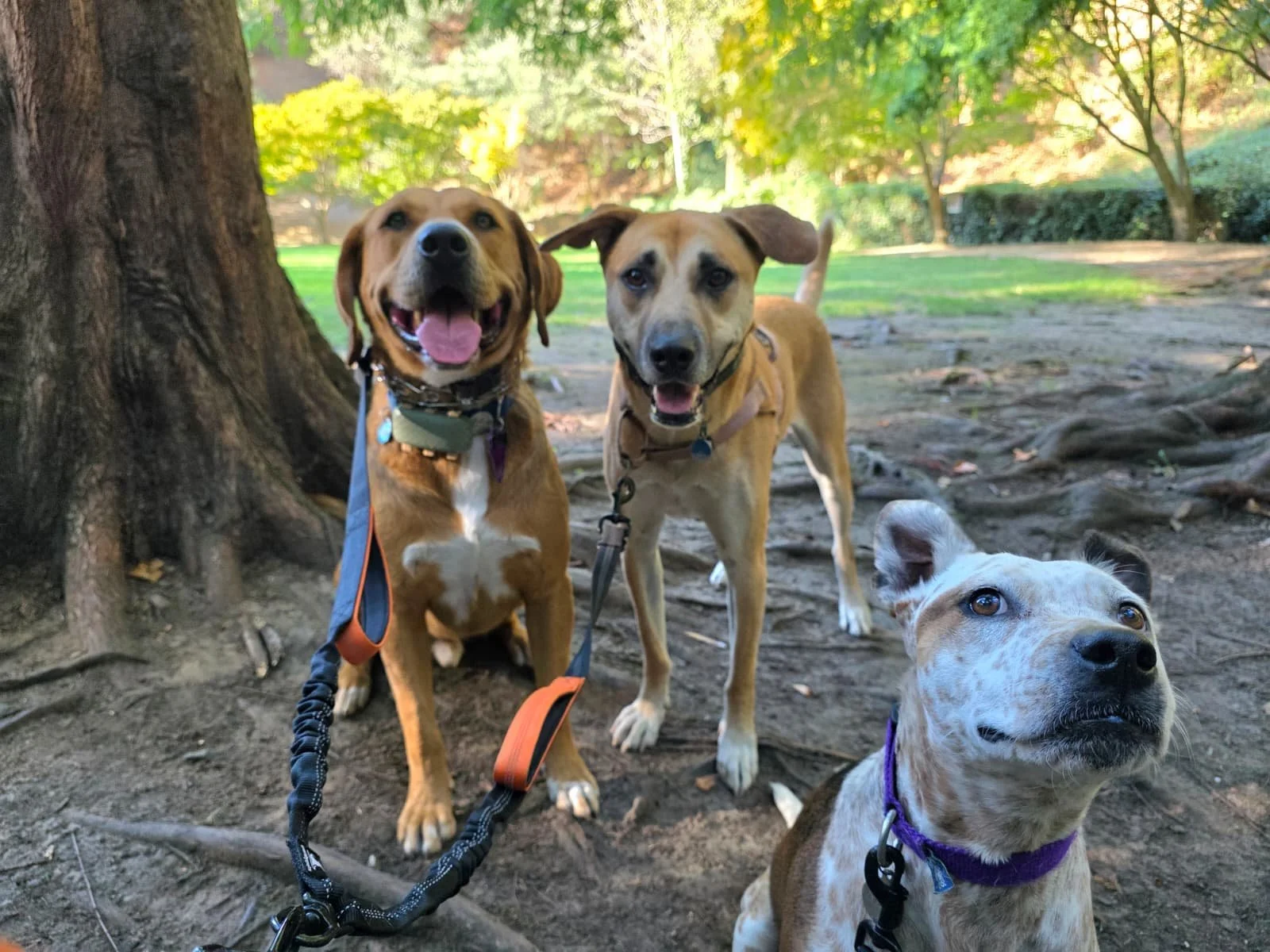 WhatsApp Image 2026-01-20 at 12.22.03 (3).jpeg