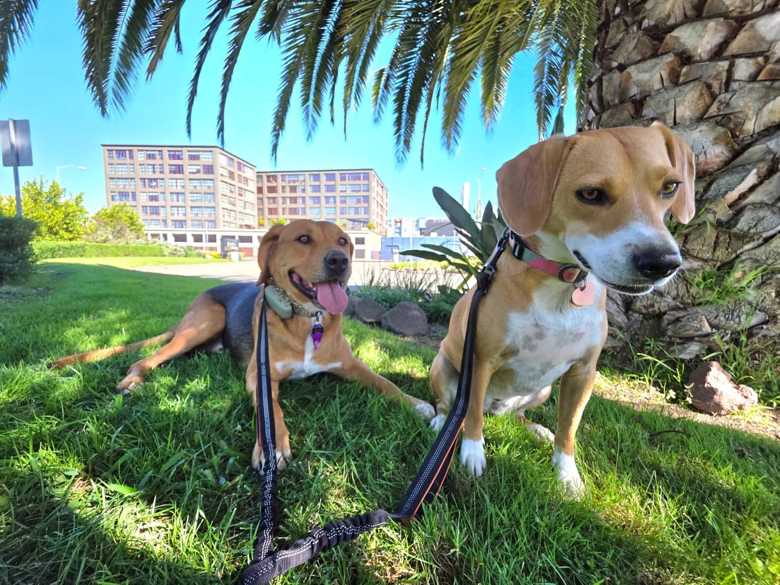 WhatsApp Image 2026-01-20 at 12.22.00.jpeg