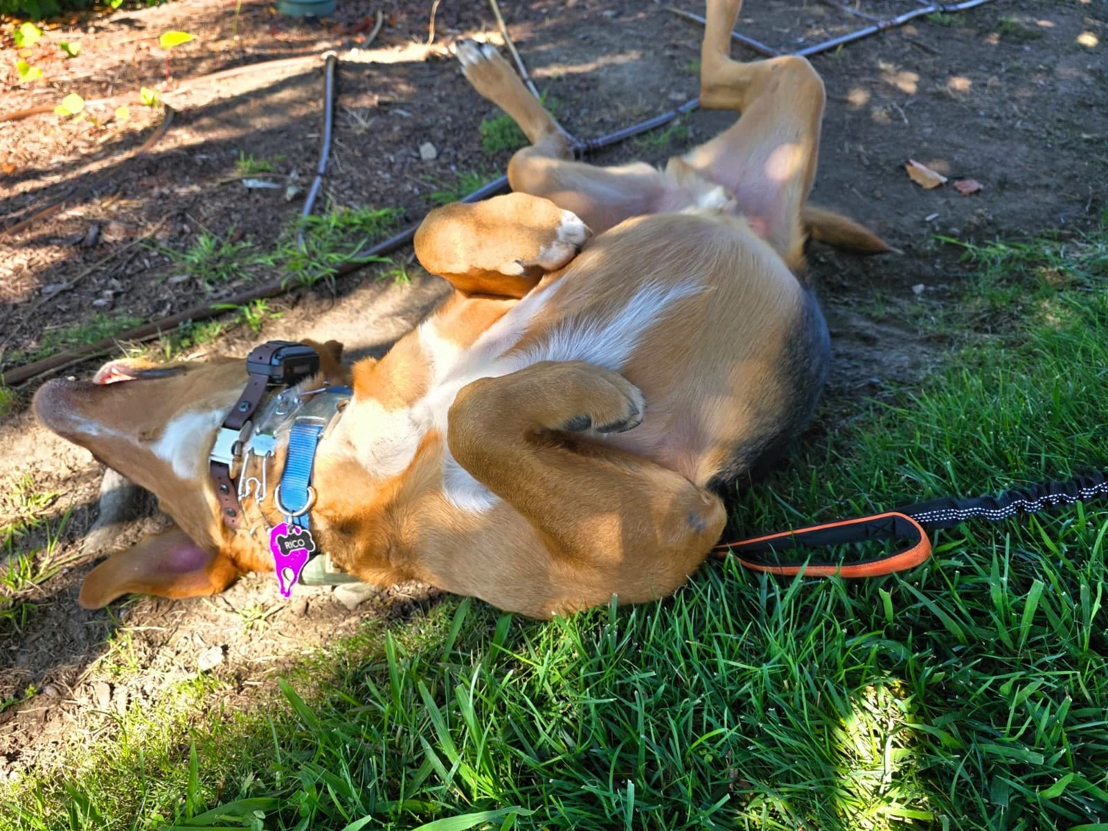 WhatsApp Image 2026-01-20 at 12.22.00 (1).jpeg