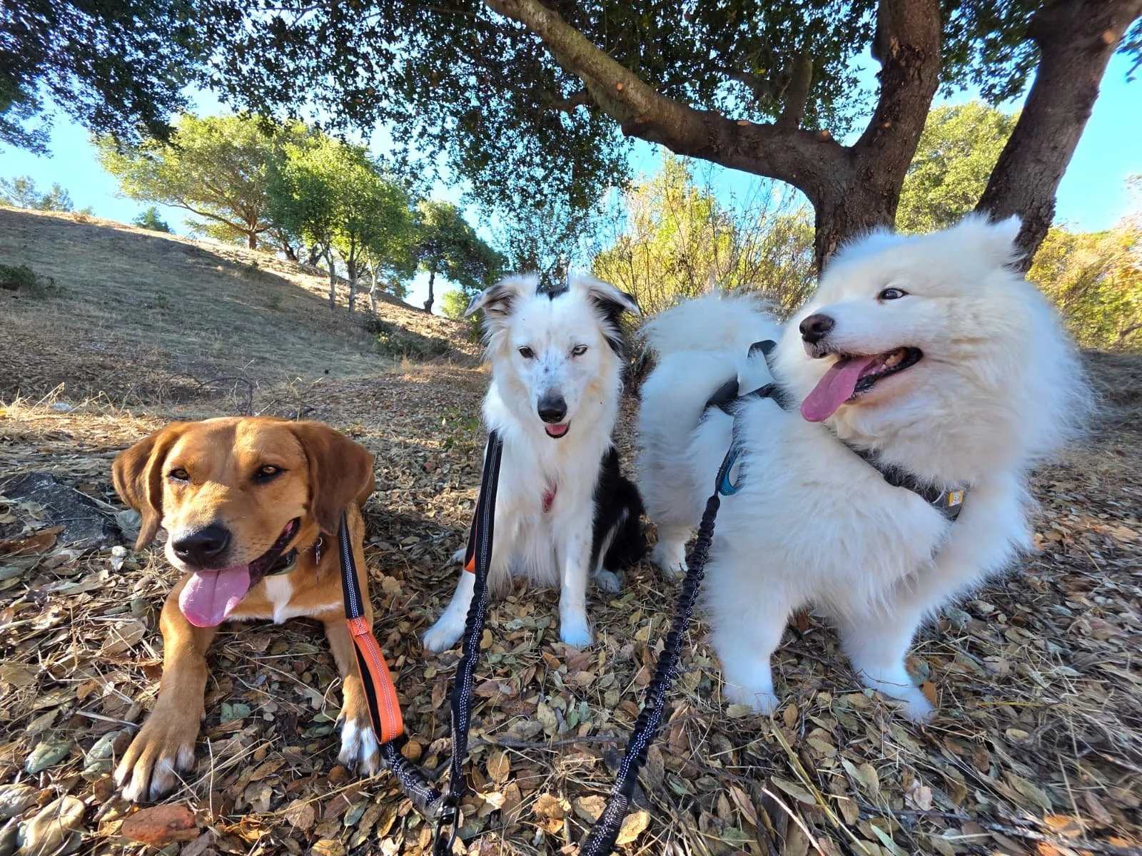 WhatsApp Image 2026-01-20 at 12.21.59.jpeg