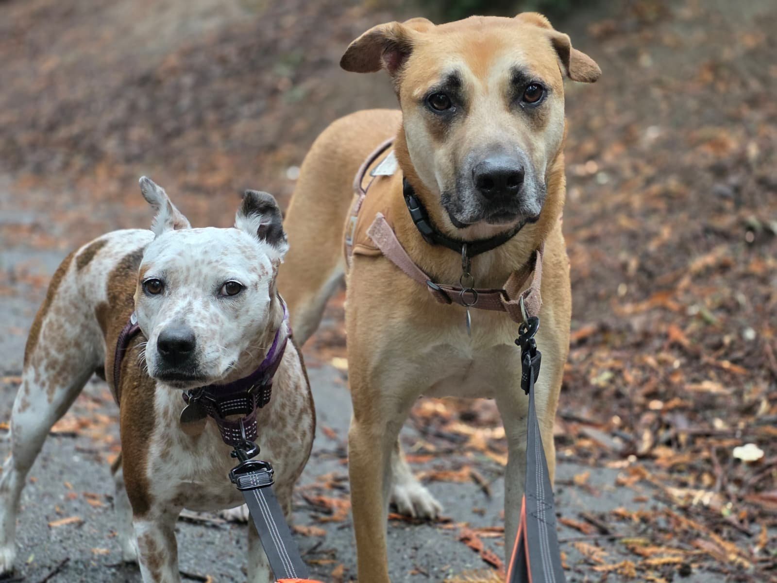 WhatsApp Image 2026-01-20 at 12.21.55.jpeg