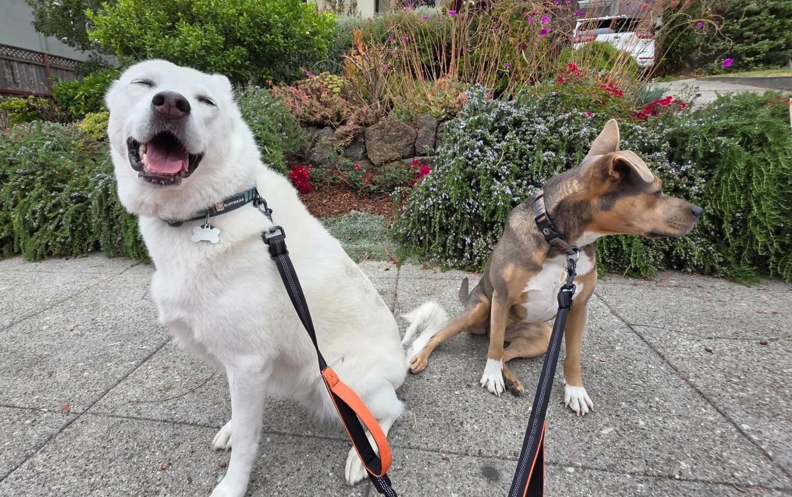 WhatsApp Image 2026-01-20 at 12.21.52.jpeg