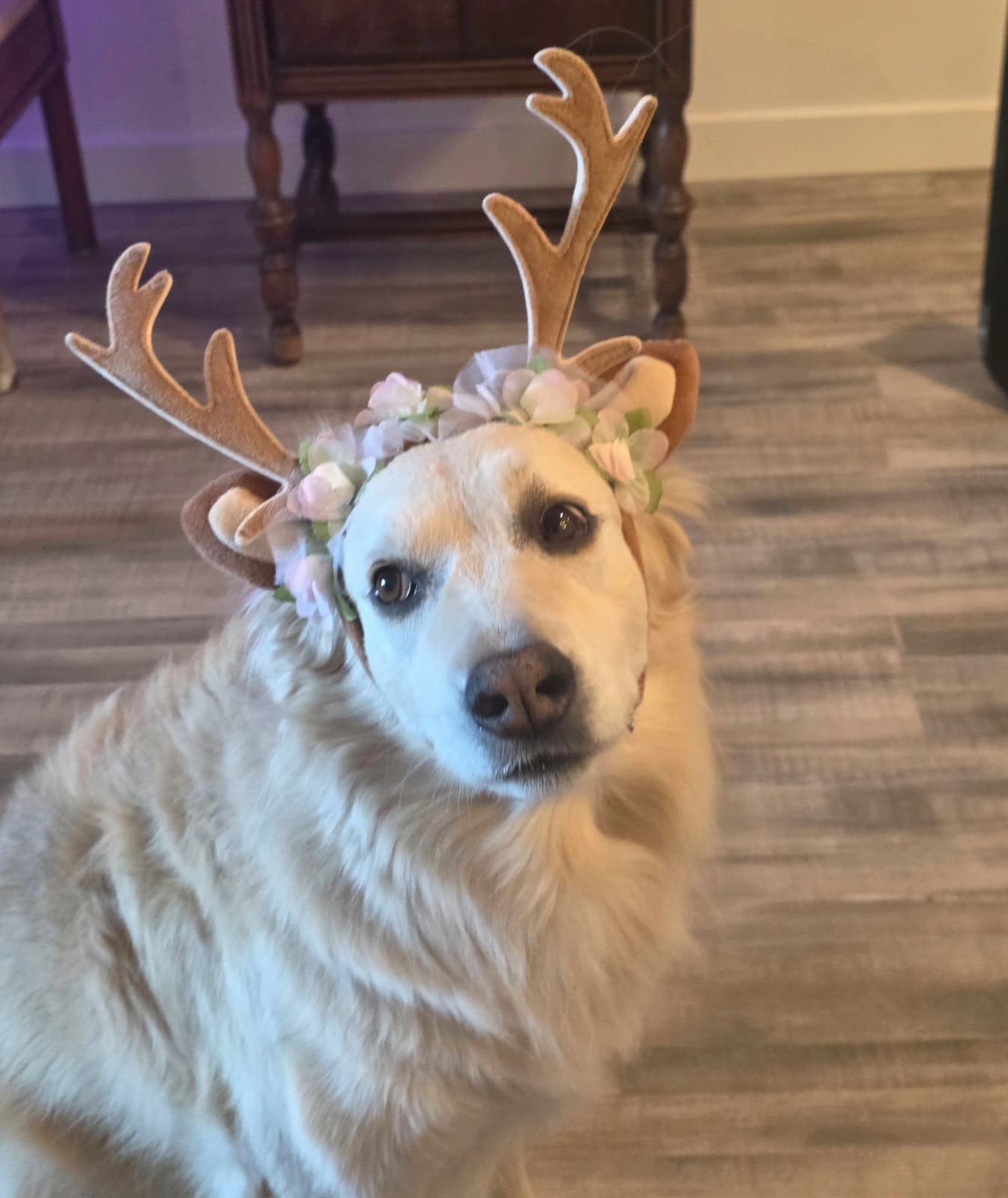 WhatsApp Image 2026-01-20 at 12.22.01 (1).jpeg