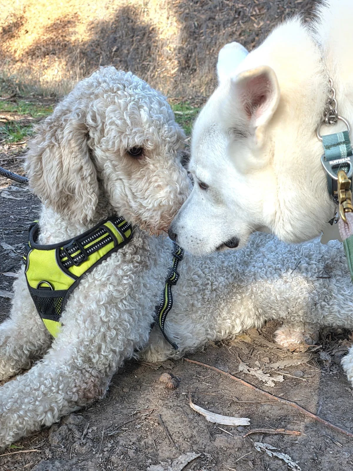 WhatsApp Image 2026-01-20 at 12.22.04 (2).jpeg