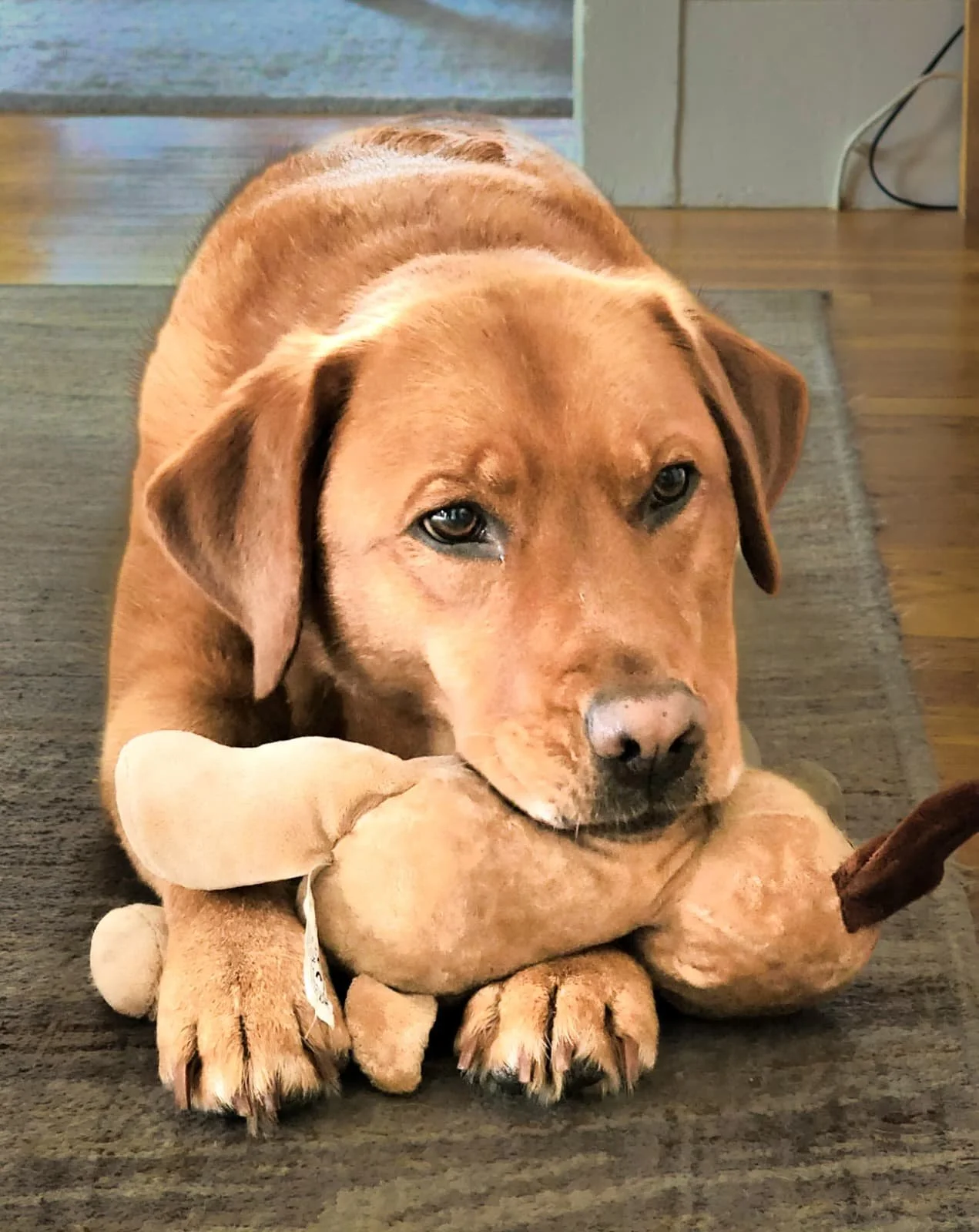 WhatsApp Image 2026-01-21 at 02.50.12 (1).jpeg