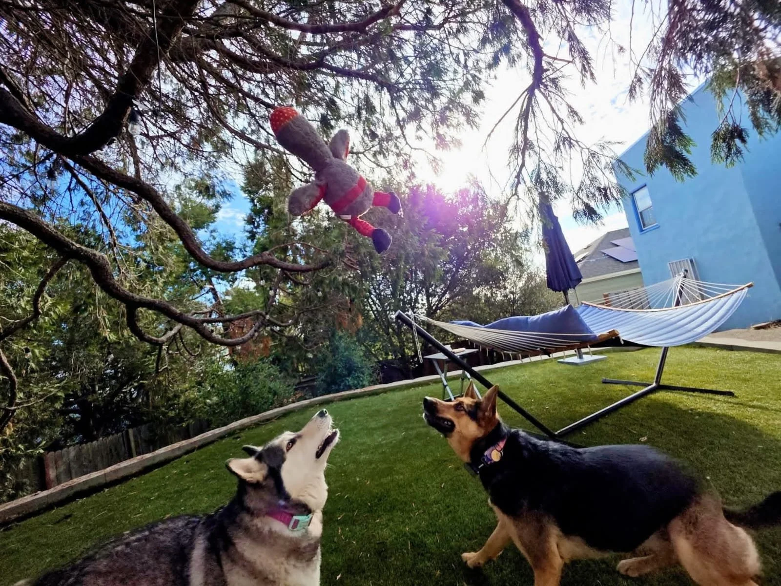 WhatsApp Image 2026-01-20 at 12.22.03 (4).jpeg