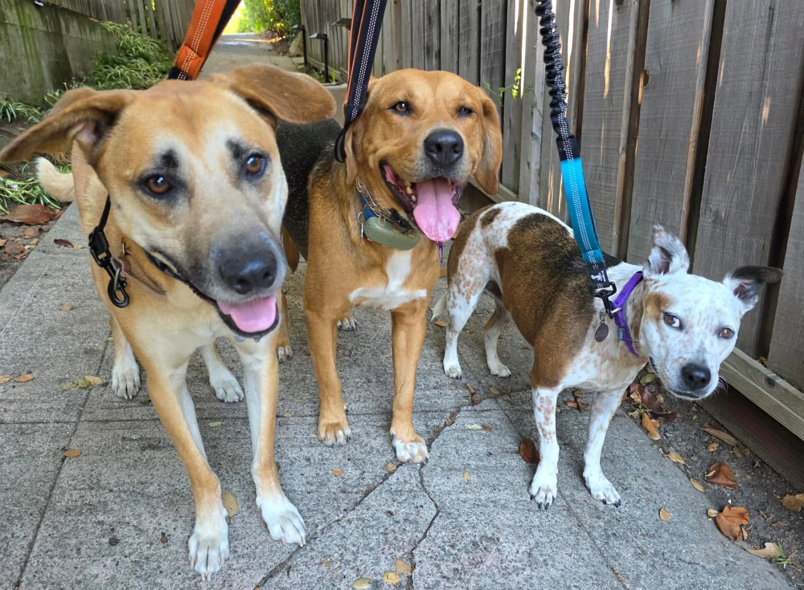 WhatsApp Image 2026-01-20 at 12.22.00 (2).jpeg