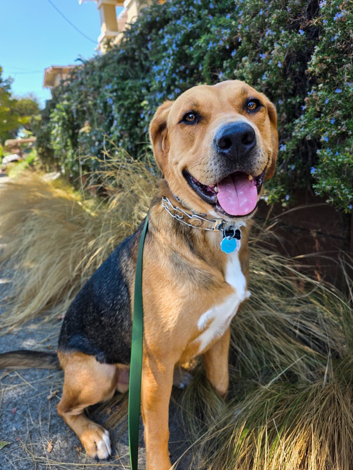 WhatsApp Image 2026-01-21 at 02.50.10.jpeg