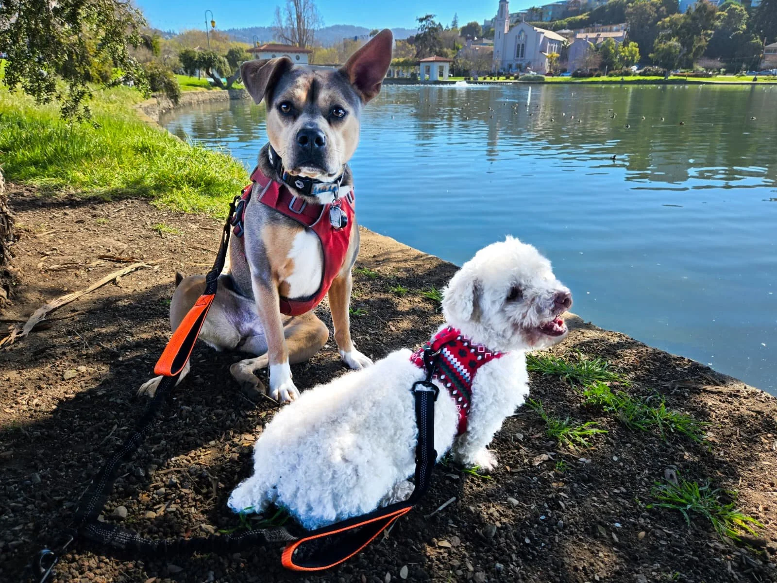 WhatsApp Image 2026-01-20 at 12.21.39.jpeg