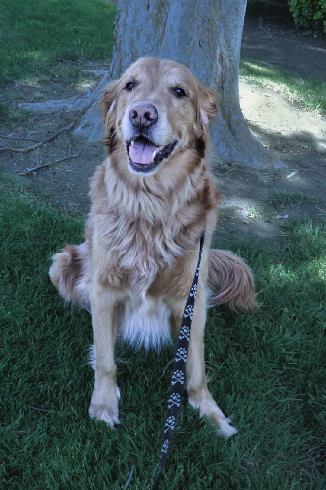 WhatsApp Image 2026-01-29 at 06.43.27.jpeg