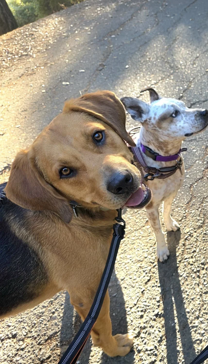 WhatsApp Image 2026-01-20 at 12.22.03 (1).jpeg