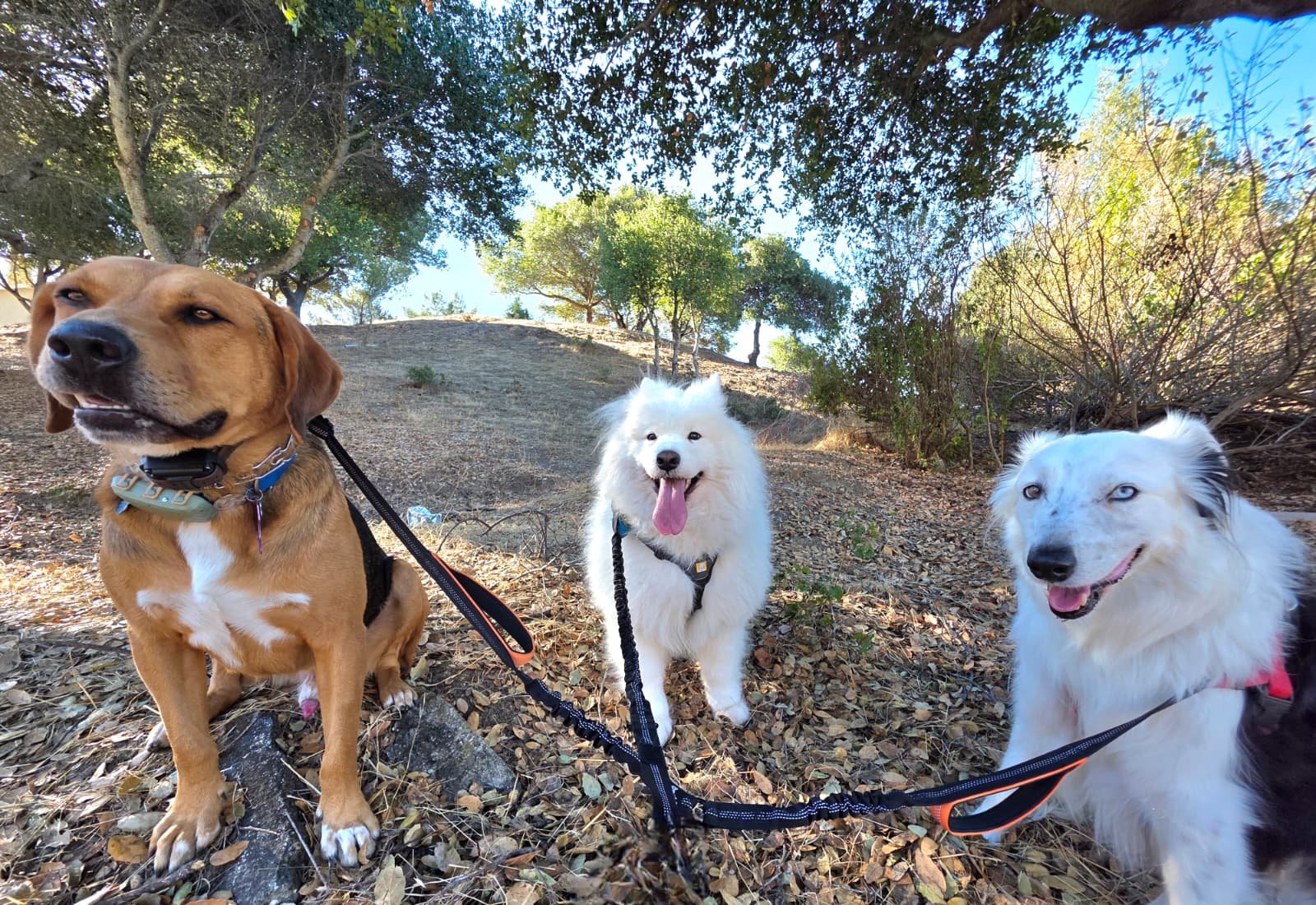 WhatsApp Image 2026-01-20 at 12.21.57.jpeg