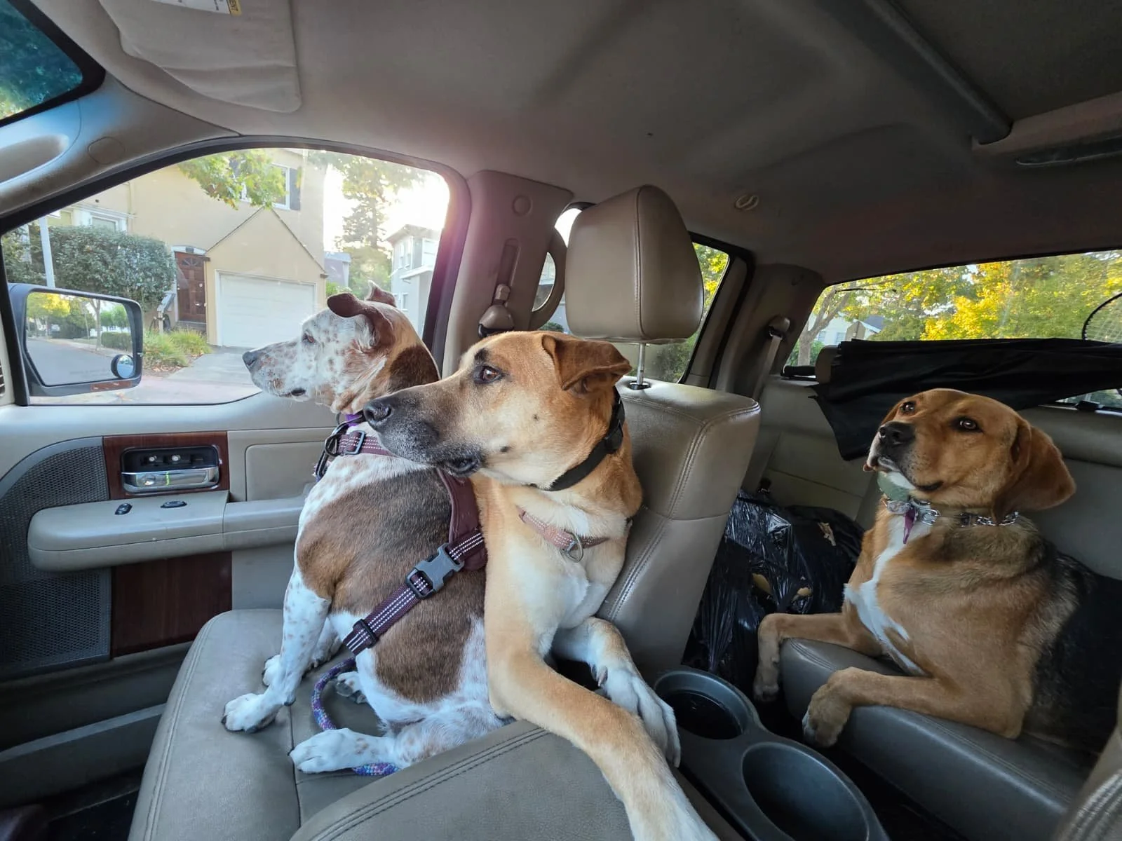 WhatsApp Image 2026-01-20 at 12.22.00 (4).jpeg