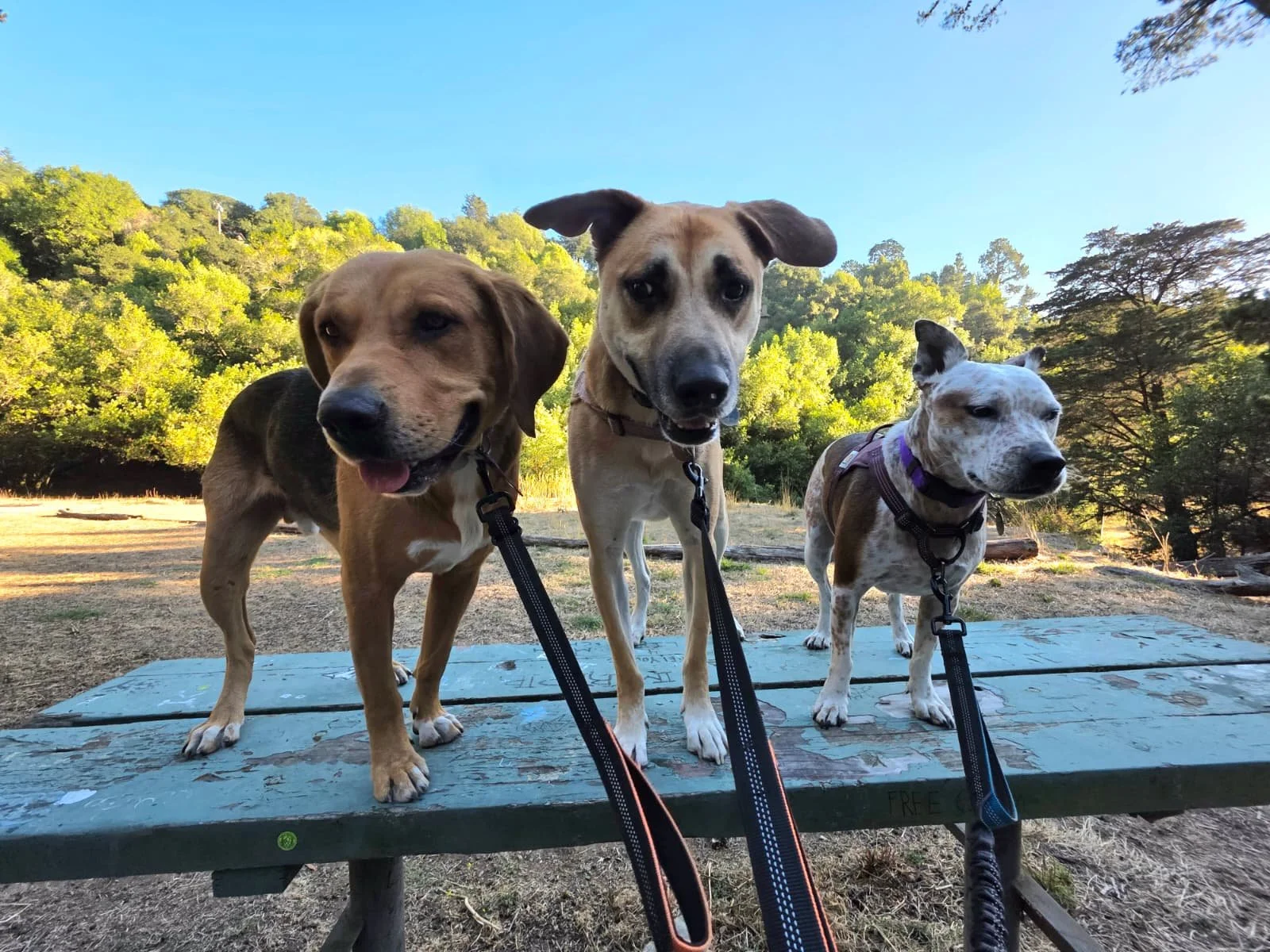 WhatsApp Image 2026-01-20 at 12.22.00 (3).jpeg