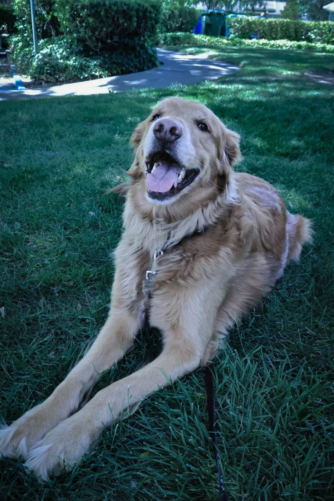 WhatsApp Image 2026-01-29 at 06.43.27 (1).jpeg