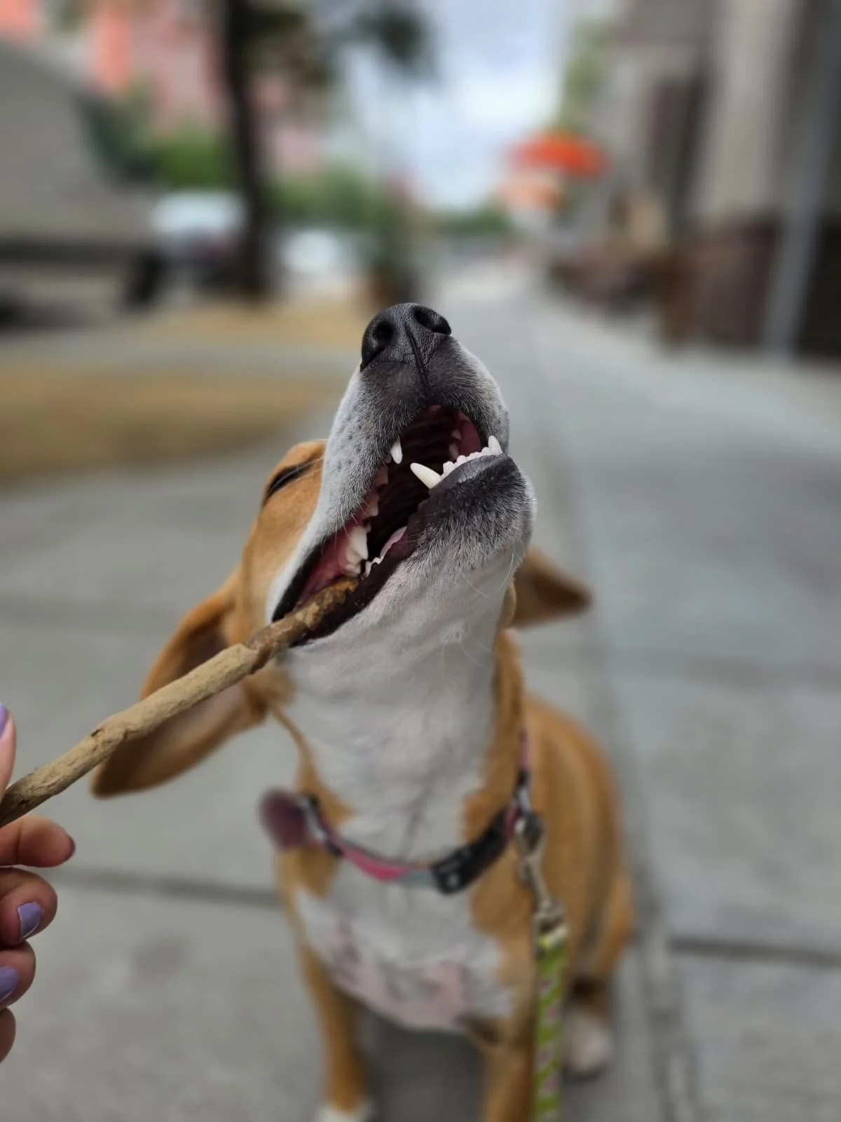 WhatsApp Image 2026-01-20 at 12.22.00 (5).jpeg