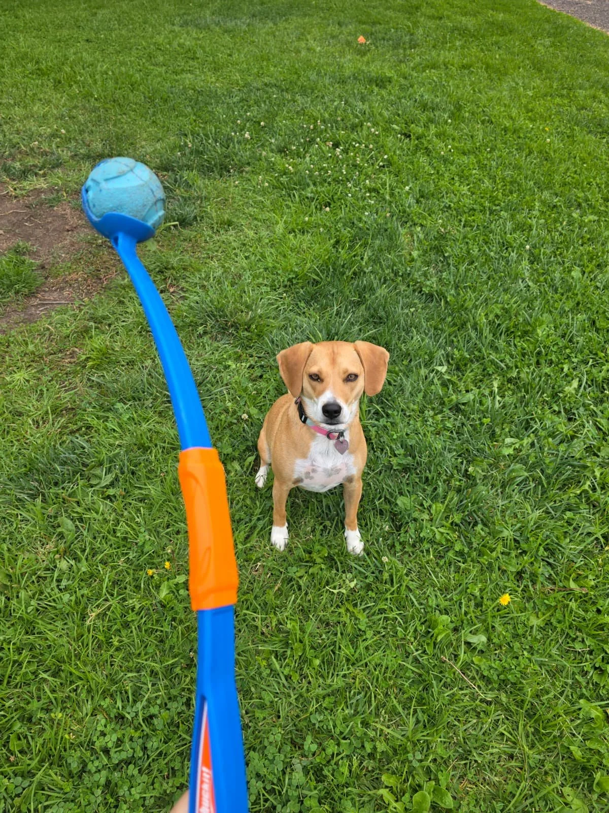 WhatsApp Image 2026-01-20 at 12.22.00 (6).jpeg