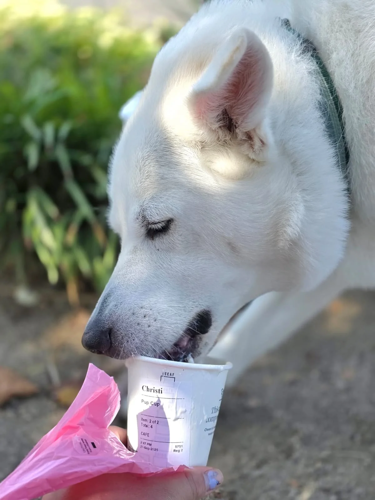 WhatsApp Image 2026-01-20 at 12.21.48.jpeg