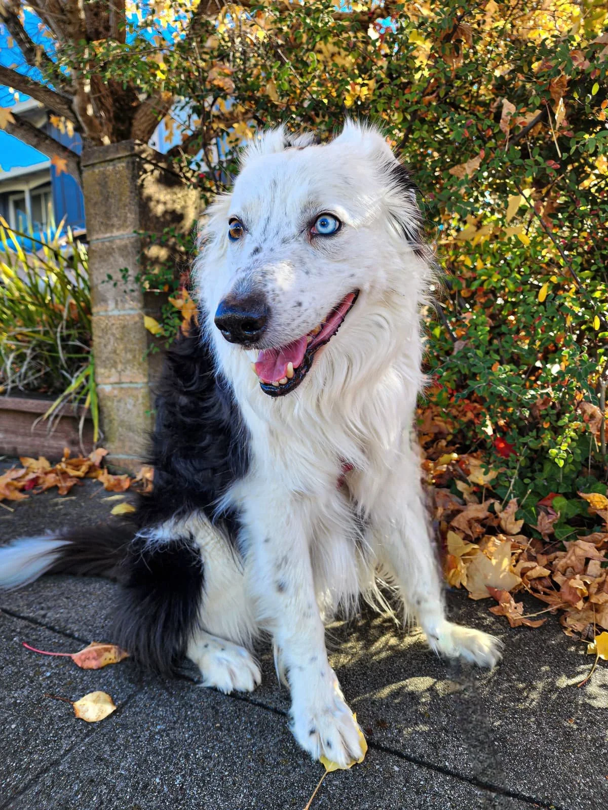 WhatsApp Image 2026-01-21 at 02.50.12.jpeg