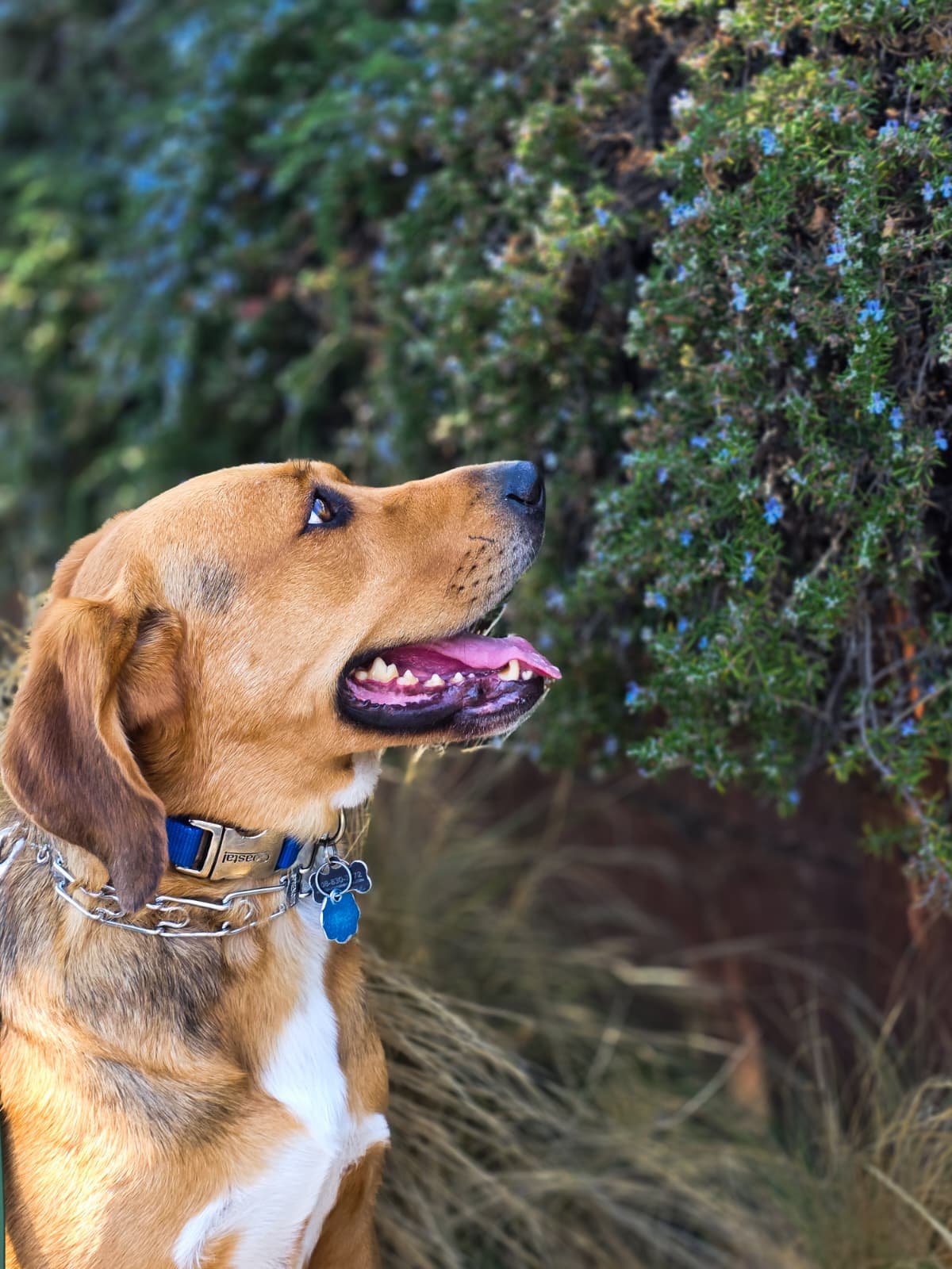 WhatsApp Image 2026-01-21 at 02.50.06.jpeg