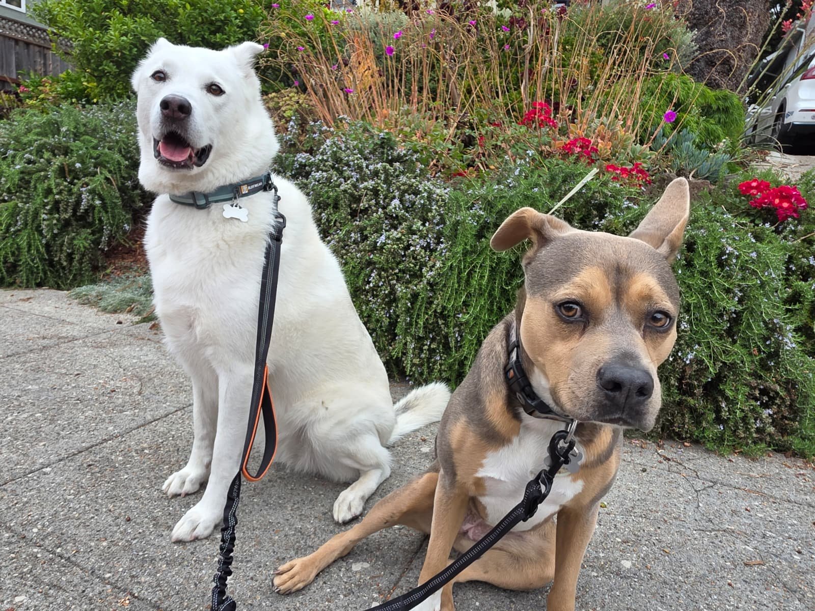 WhatsApp Image 2026-01-20 at 12.21.50.jpeg