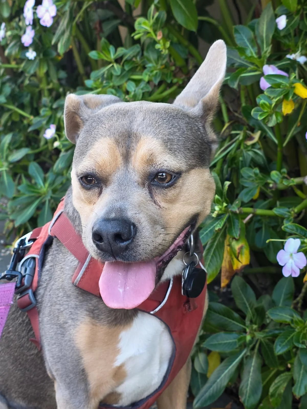 WhatsApp Image 2026-01-21 at 02.50.05 (1).jpeg