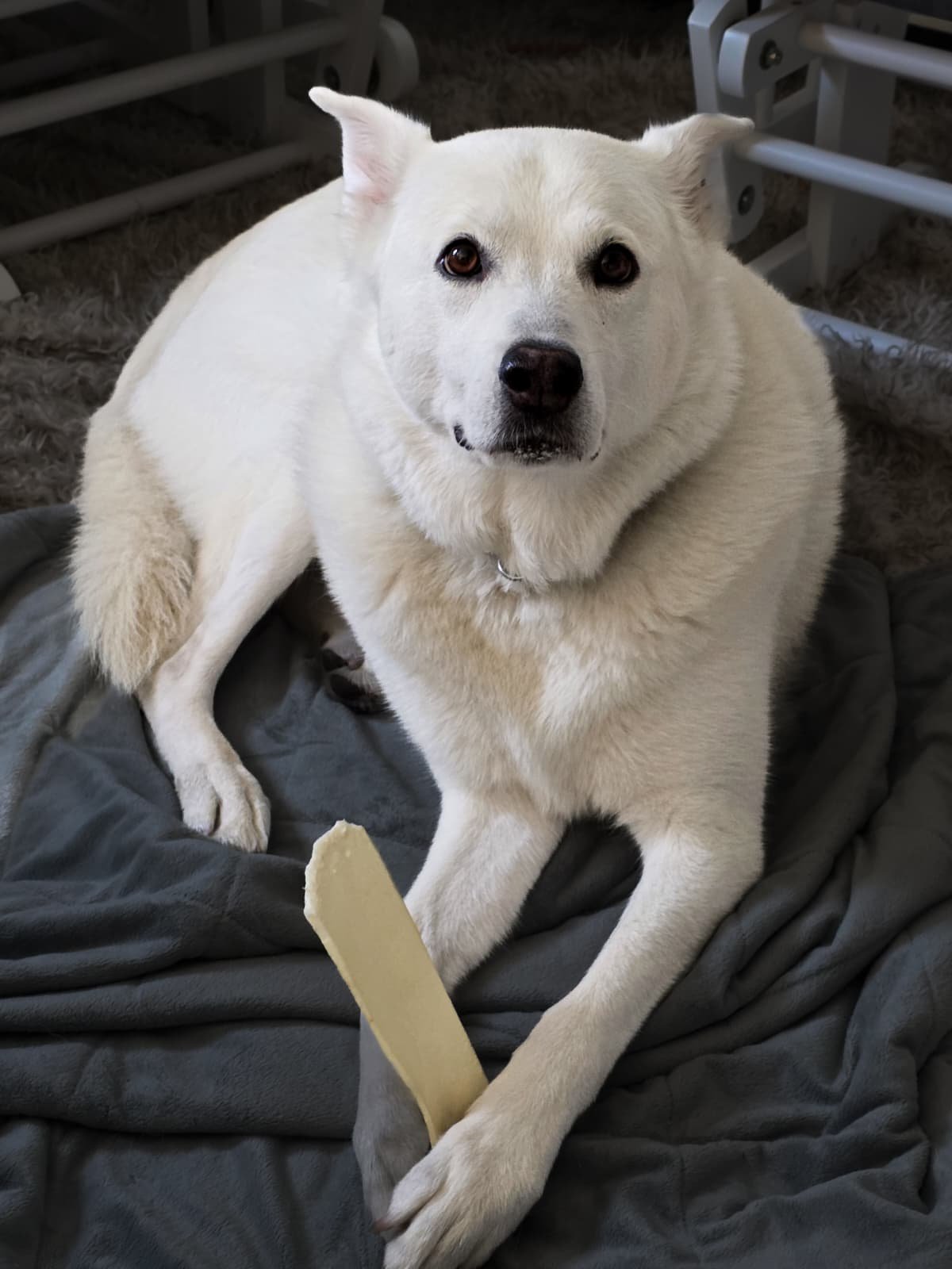 WhatsApp Image 2026-01-29 at 06.43.30.jpeg