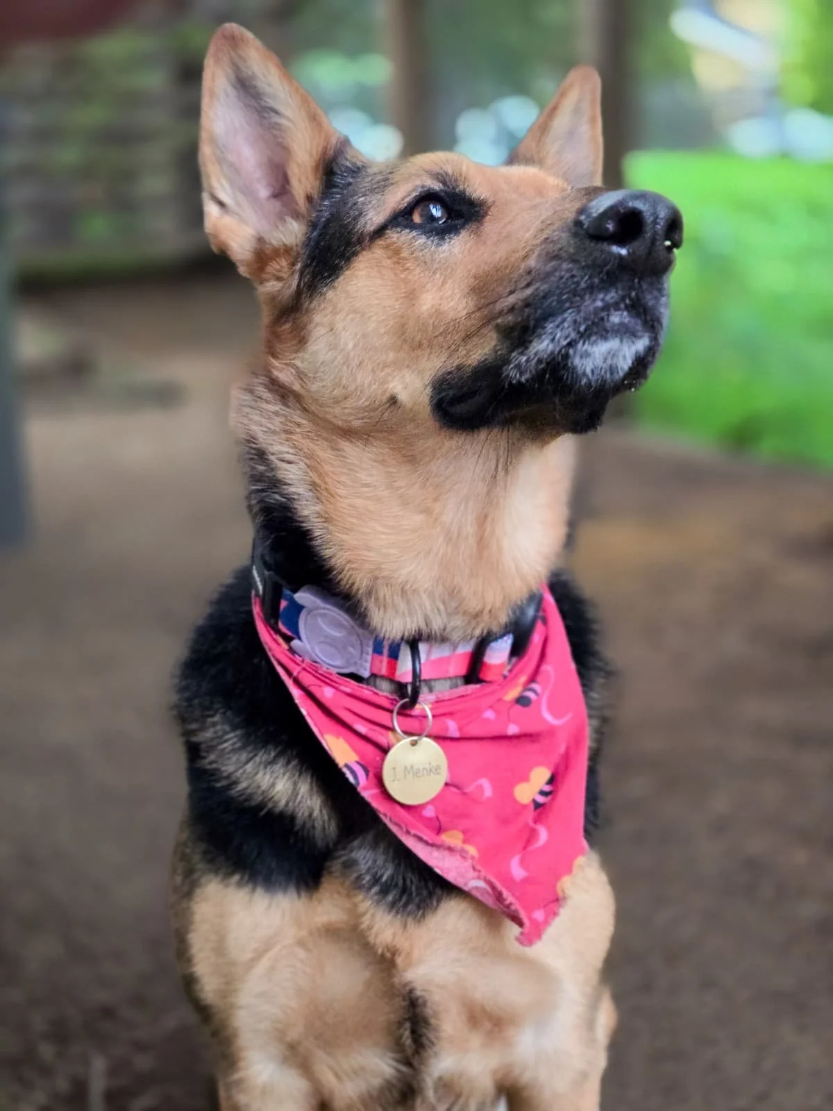 WhatsApp Image 2026-01-21 at 02.50.11 (1).jpeg