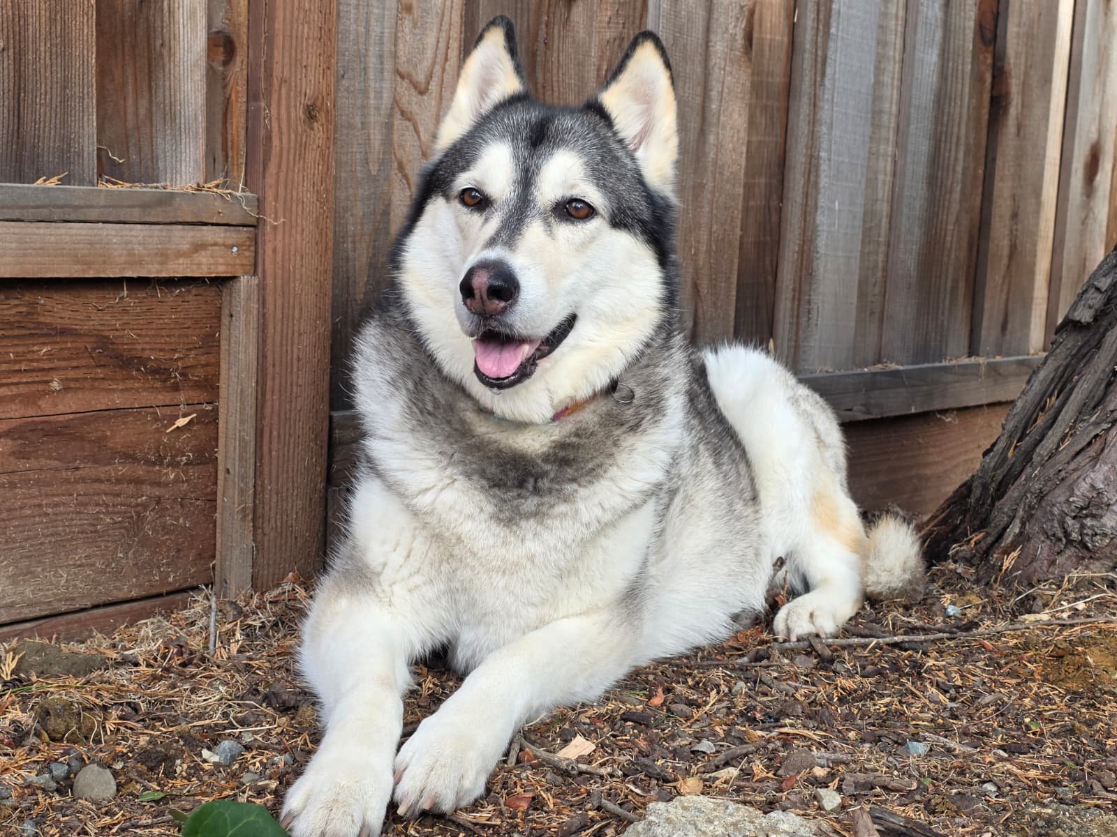 WhatsApp Image 2026-01-20 at 12.21.53.jpeg