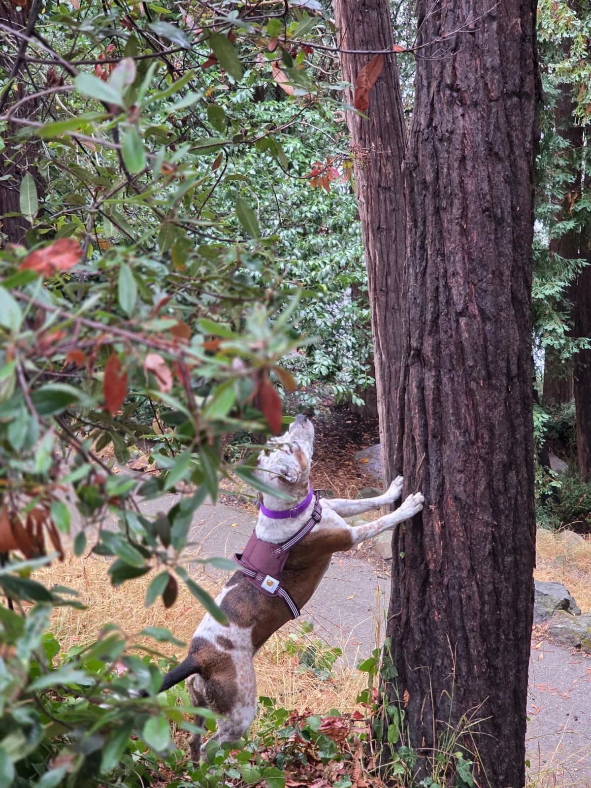 WhatsApp Image 2026-01-20 at 12.22.03 (6).jpeg