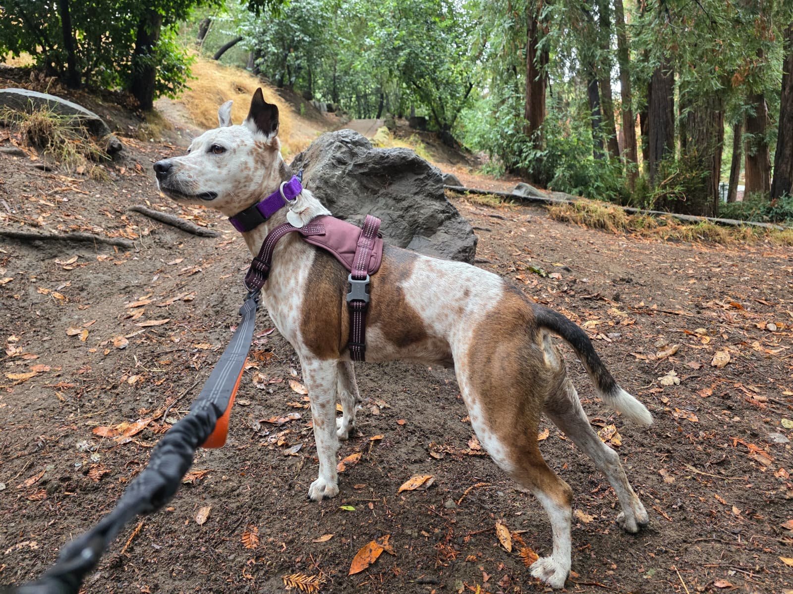 WhatsApp Image 2026-01-20 at 12.21.56.jpeg