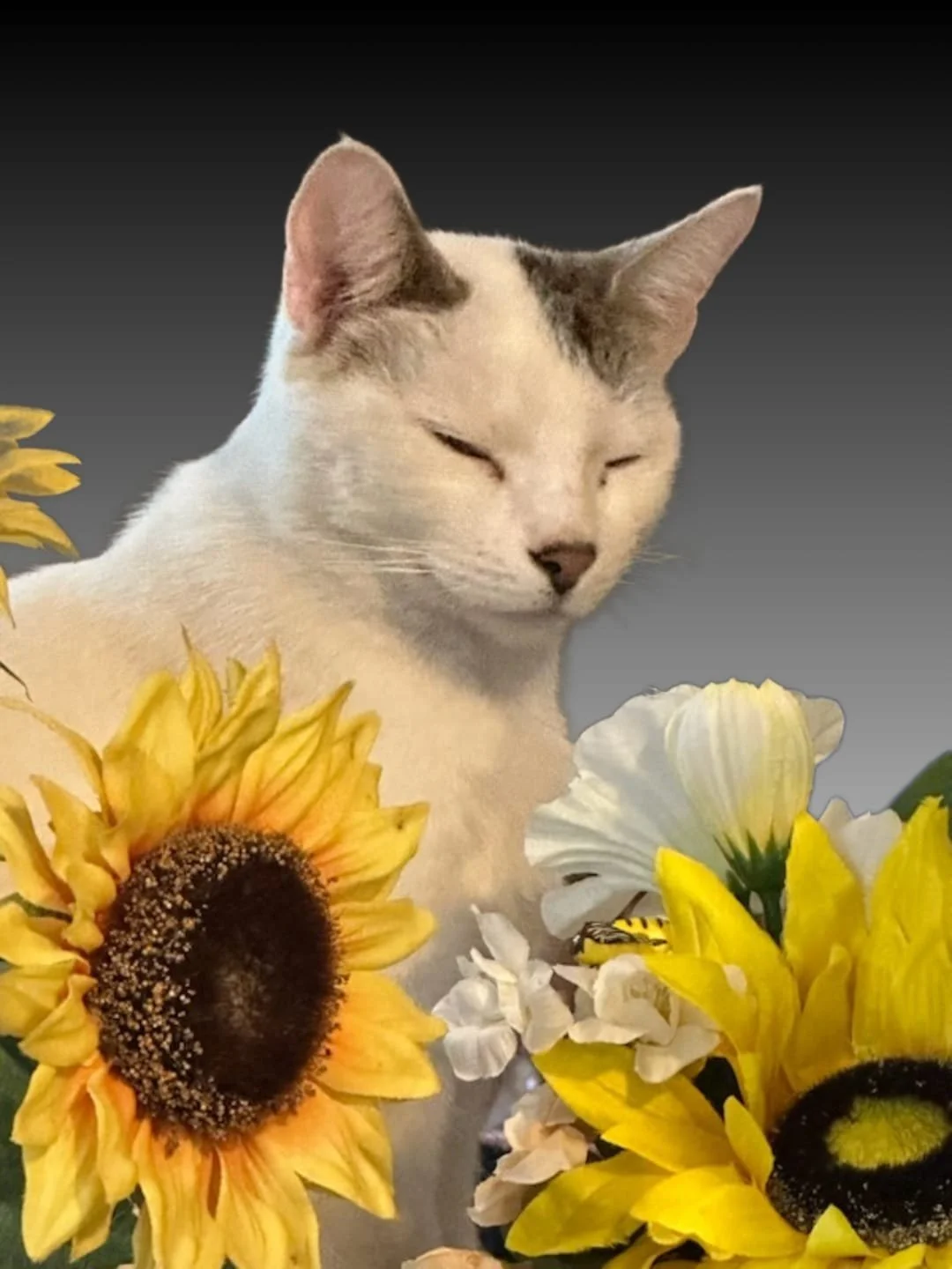 WhatsApp Image 2026-01-22 at 03.04.06.jpeg