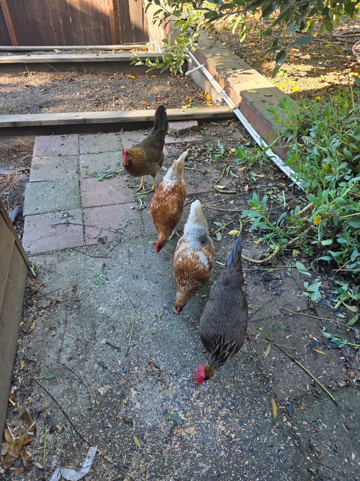 WhatsApp Image 2026-01-20 at 12.22.01 (2).jpeg