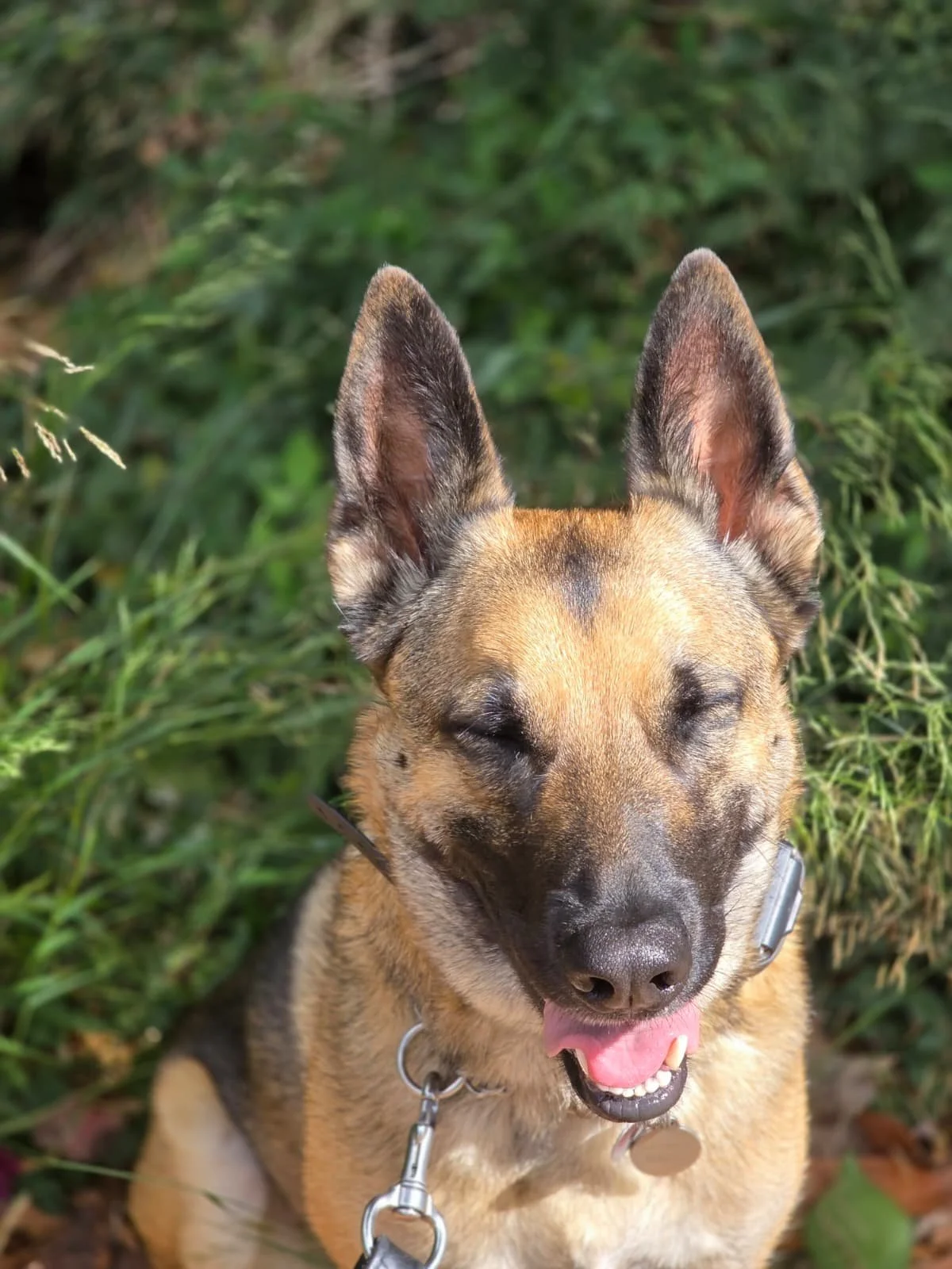 WhatsApp Image 2026-01-20 at 12.22.04.jpeg