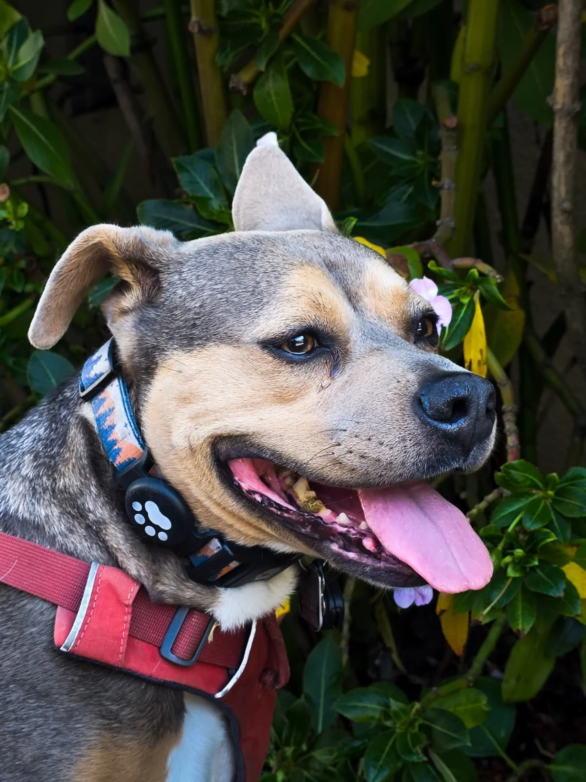 WhatsApp Image 2026-01-21 at 02.50.10 (1).jpeg