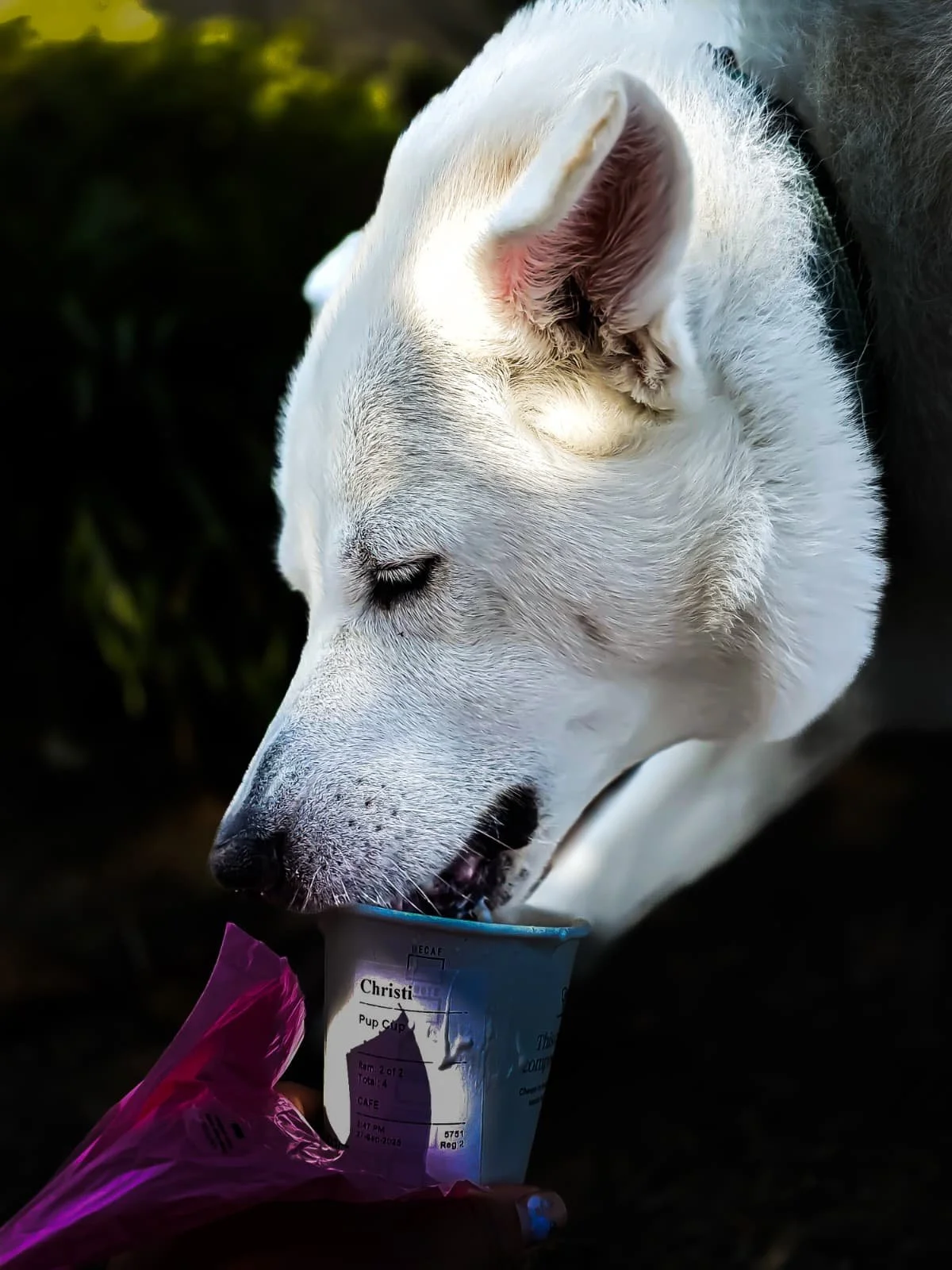 WhatsApp Image 2026-01-29 at 06.43.28.jpeg