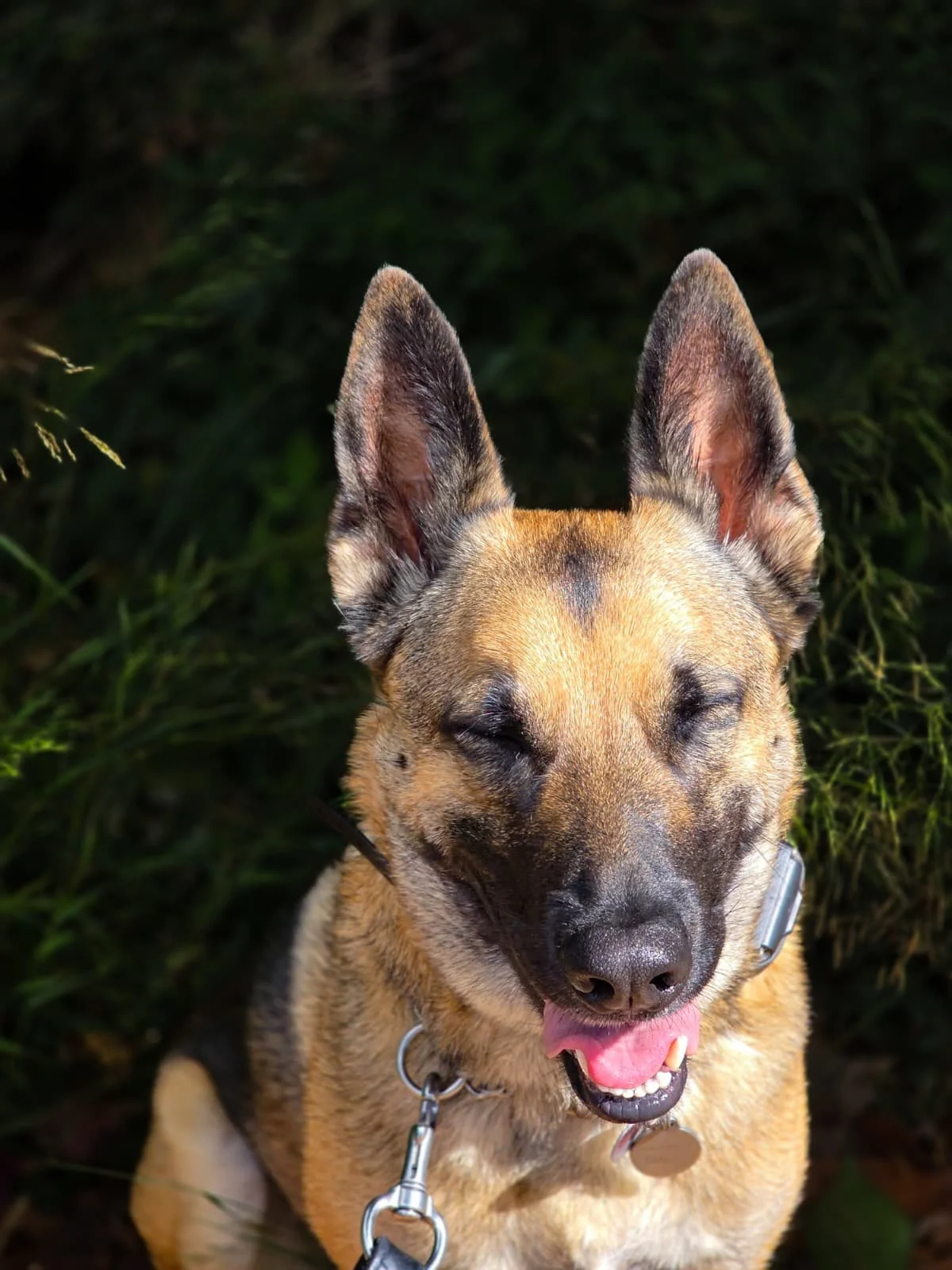 WhatsApp Image 2026-01-29 at 06.43.27 (2).jpeg