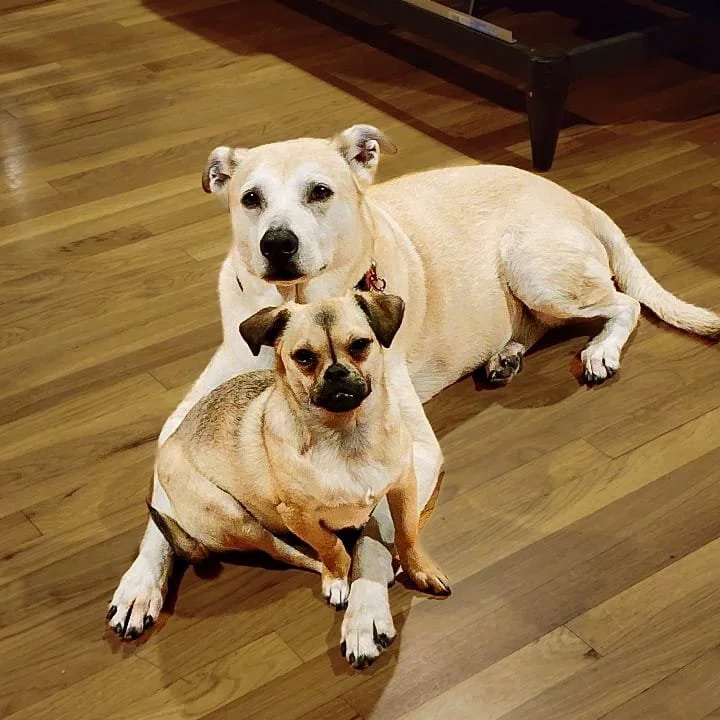 WhatsApp Image 2026-01-21 at 02.50.03.jpeg