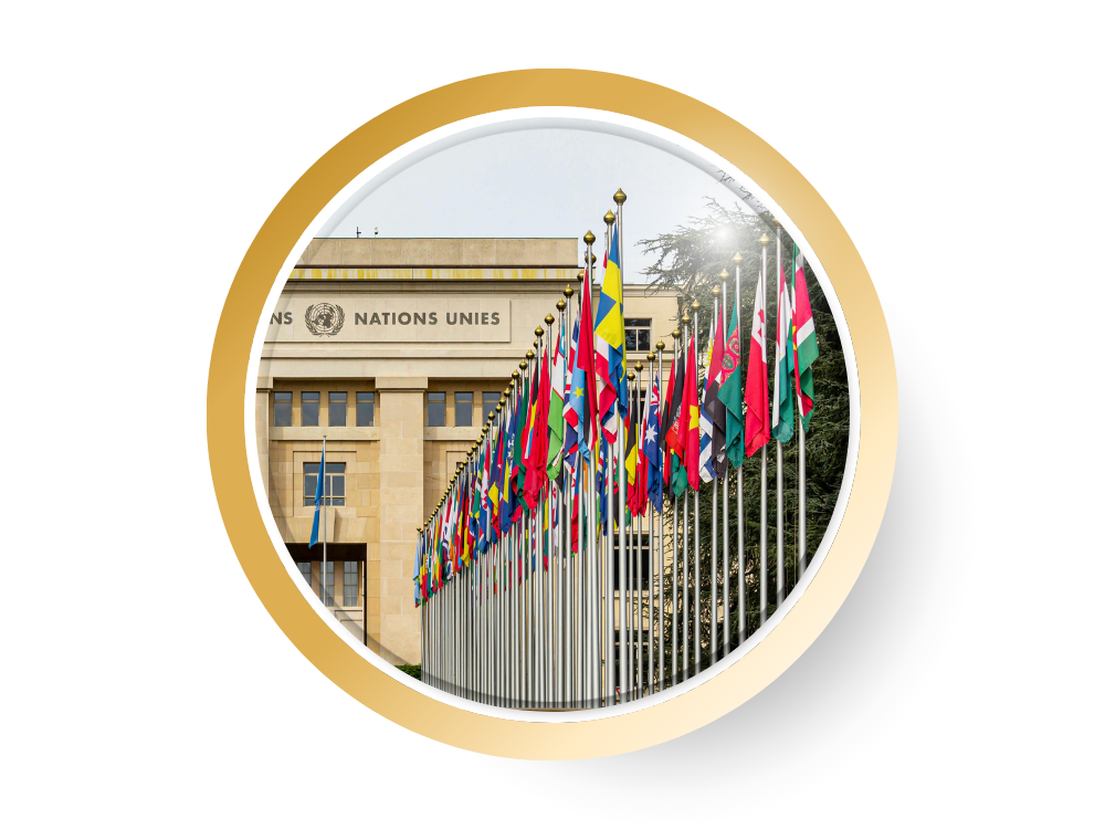 Drapeaux de différents pays devant le bâtiment des Nations Unies.