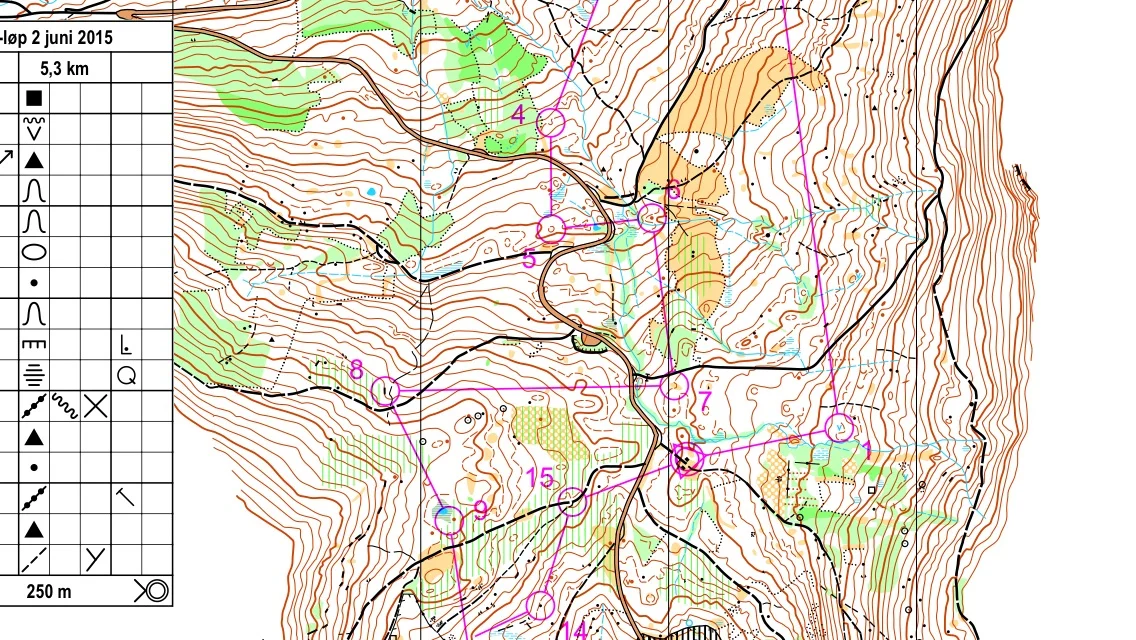Resultatliste Festningedalen 2.juni