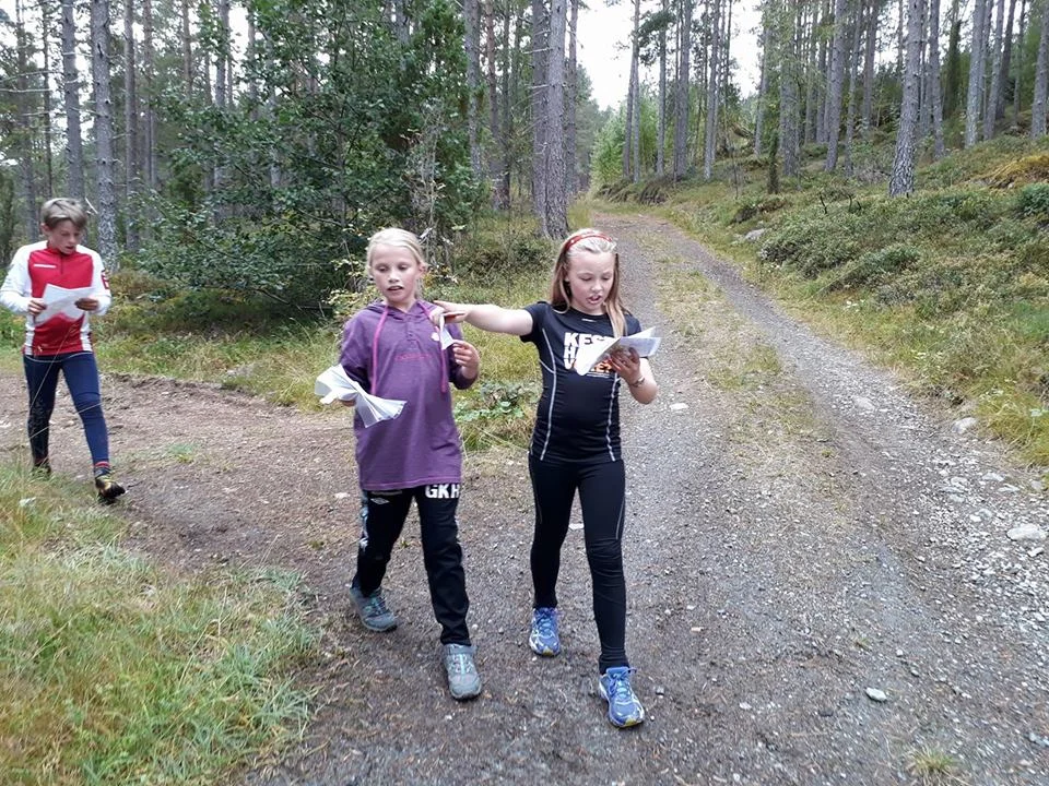 KMsprint1.jpg