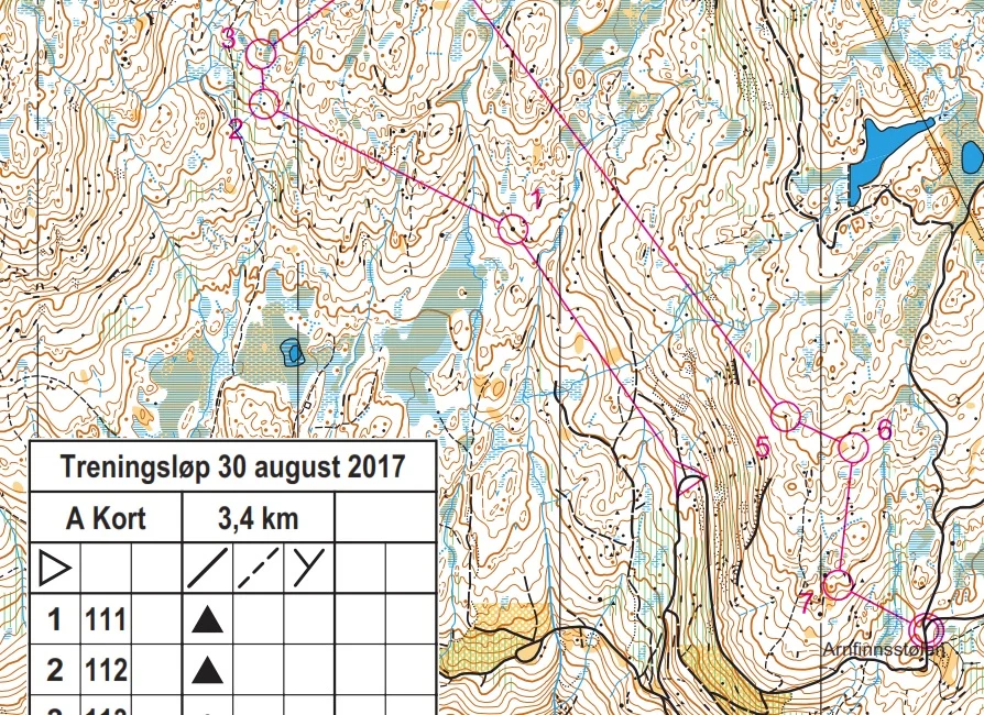 Resultat o-løp 30. august