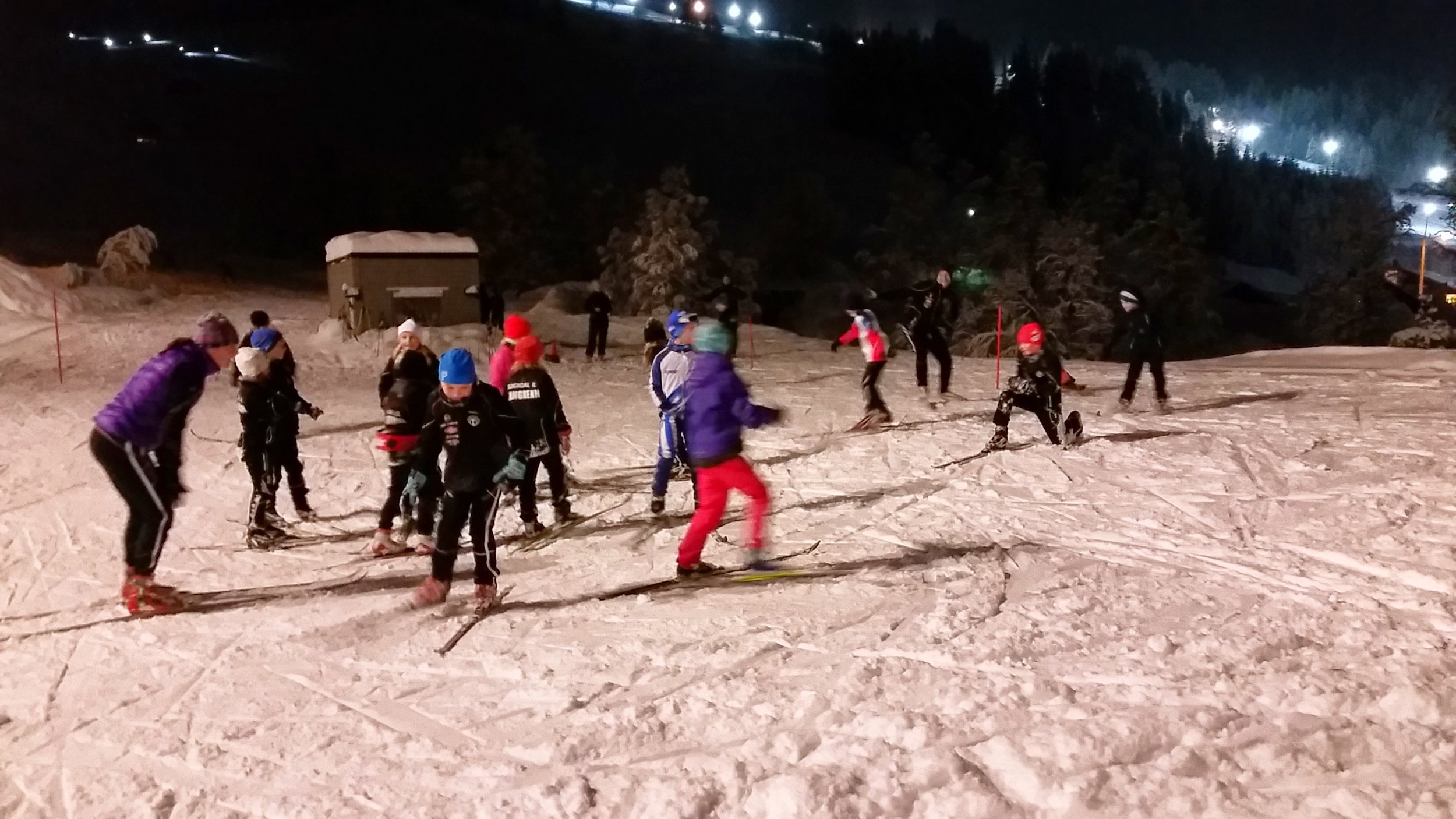 Skitrening i Hodlekve