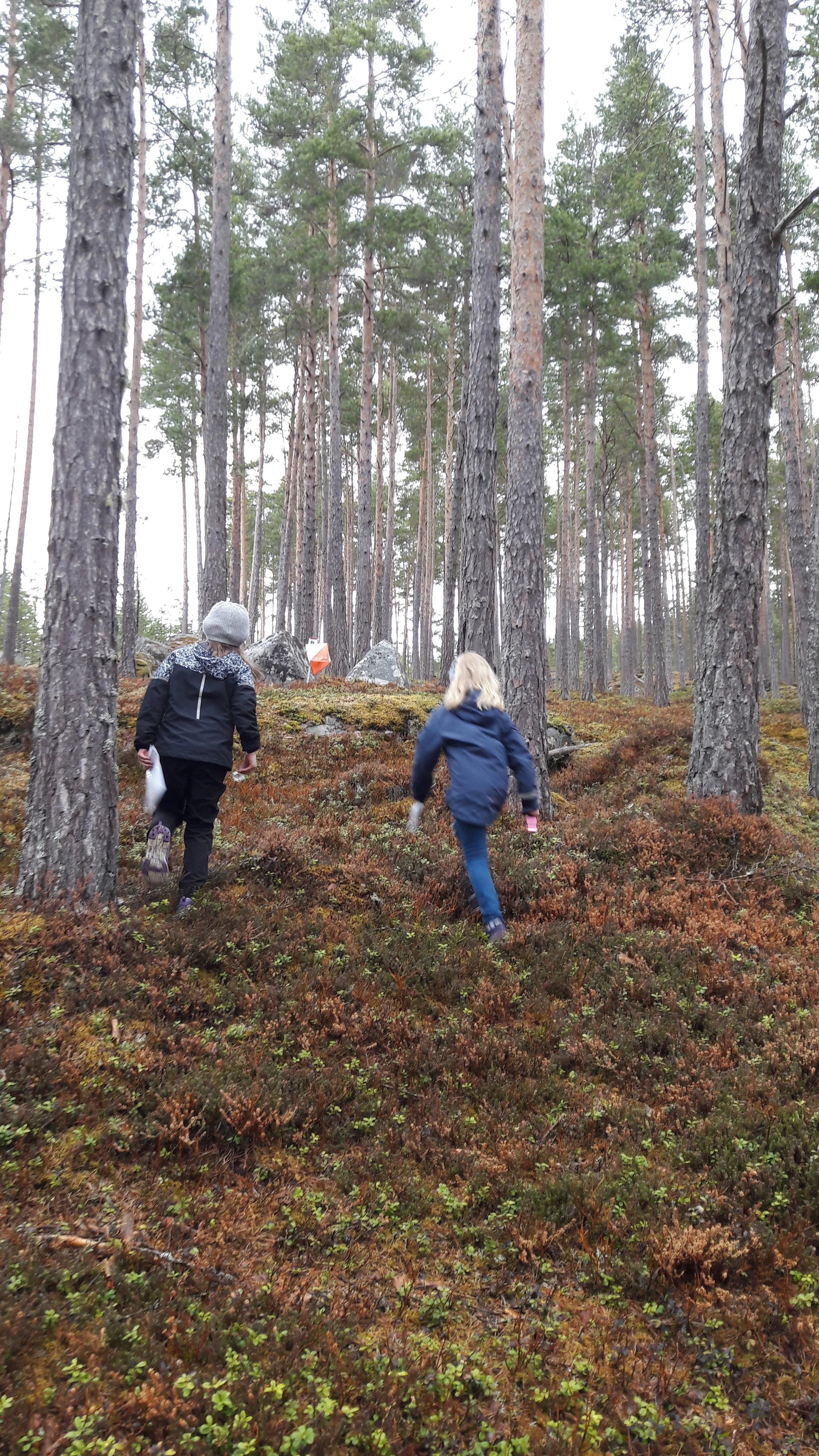 O-løp Kaupanger skule 2018-04-25
