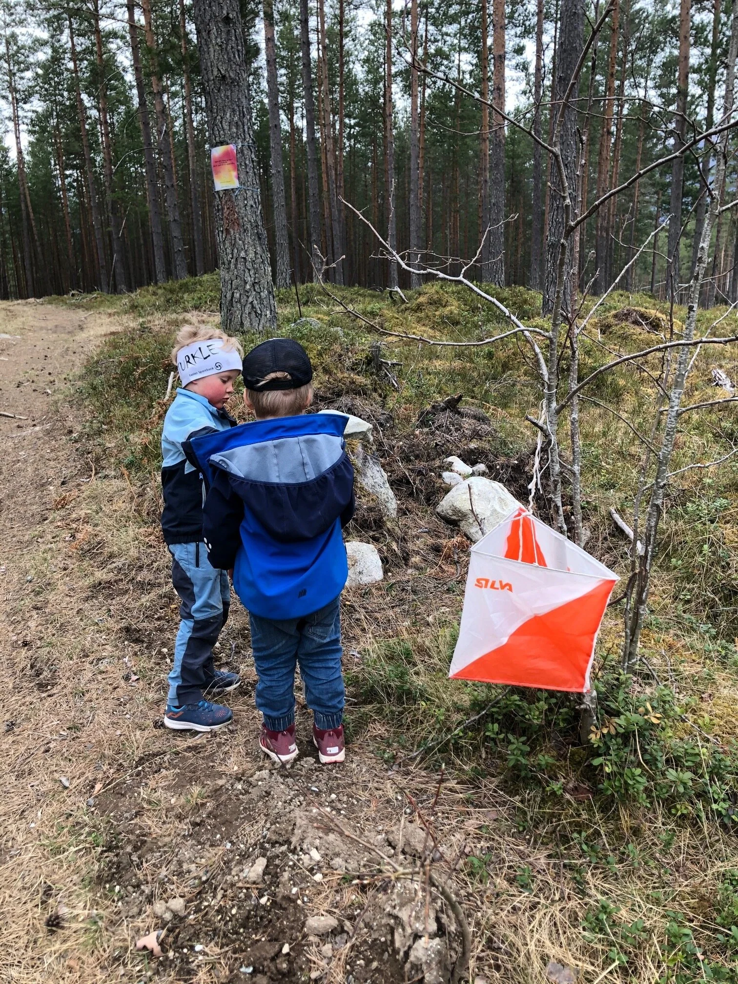 Treningsløp i Festingdalen