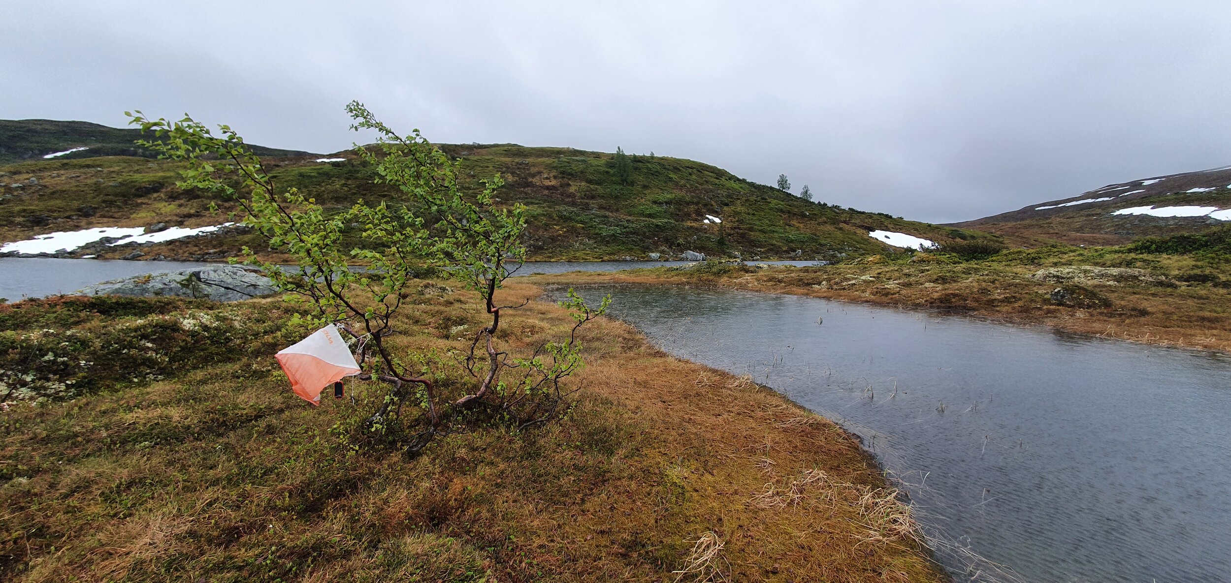Treningsløp i Hodlekve